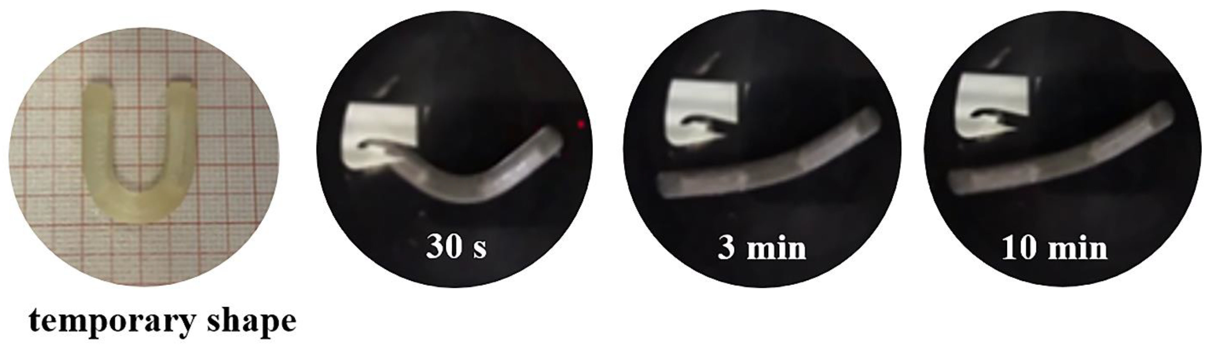 Pharmaceutics 15 00757 g009 Pharmaceutics 15 00757 g009