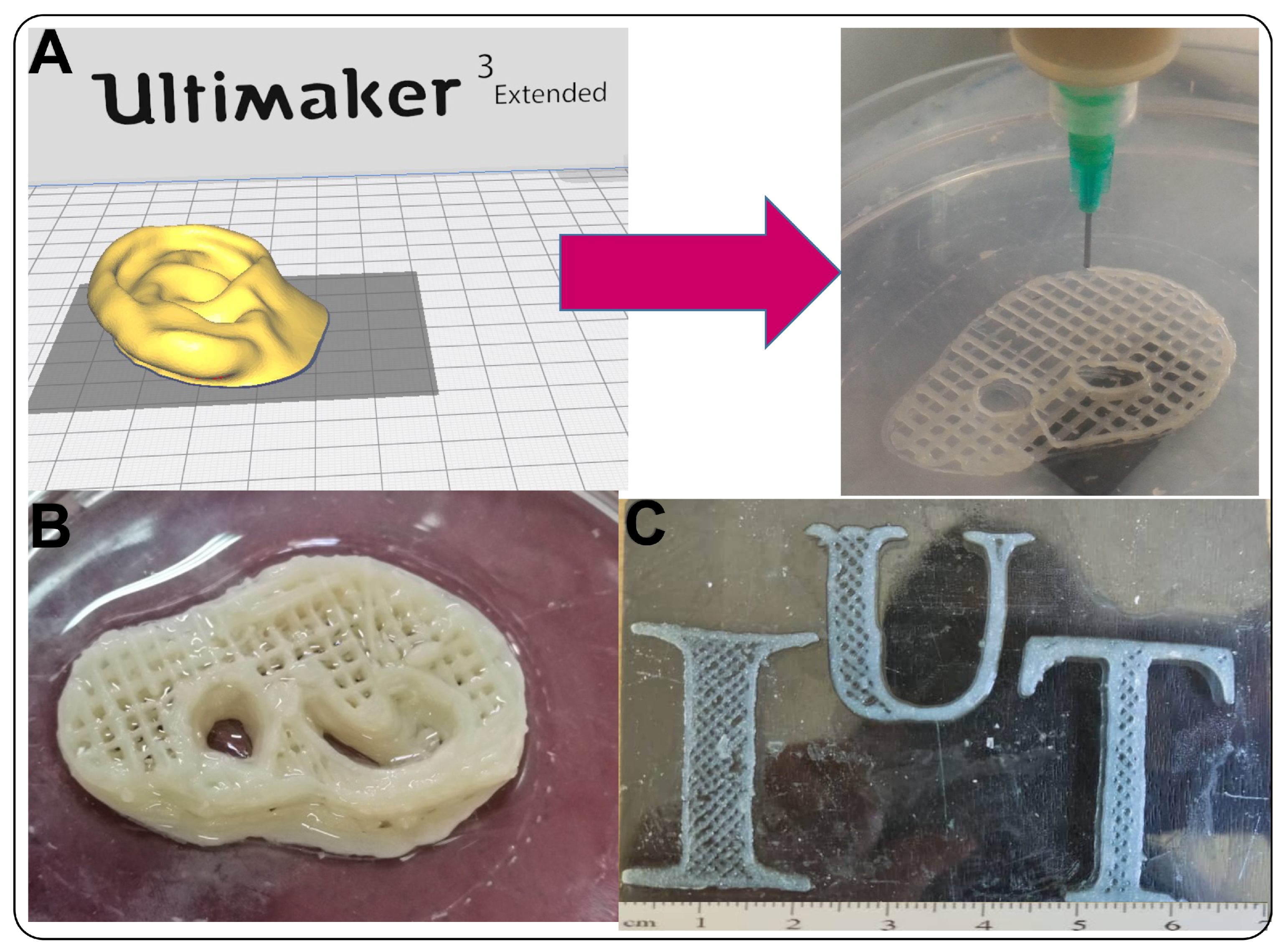 Pharmaceutics 15 00763 g007