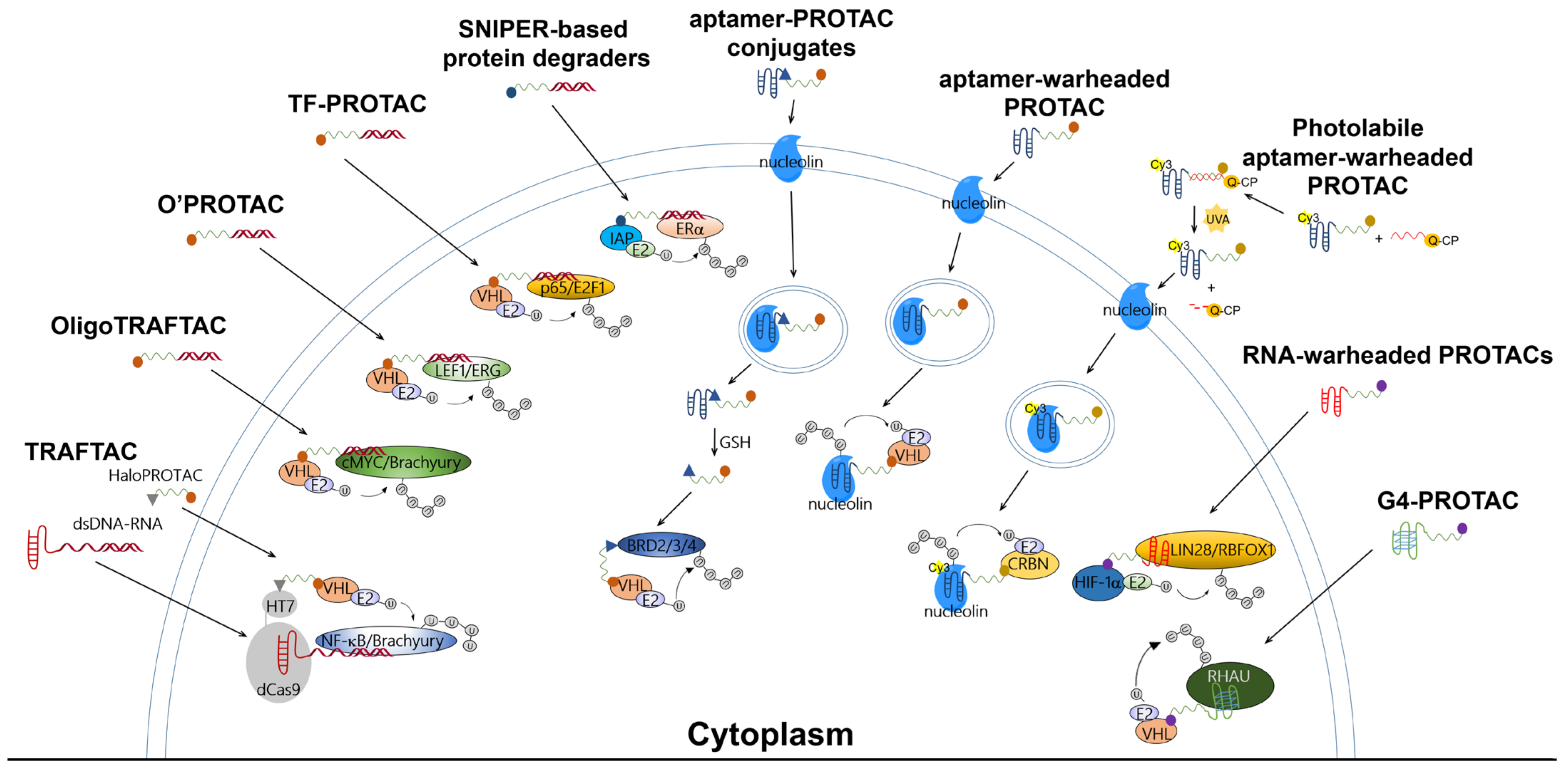 Pharmaceutics 15 00765 g002
