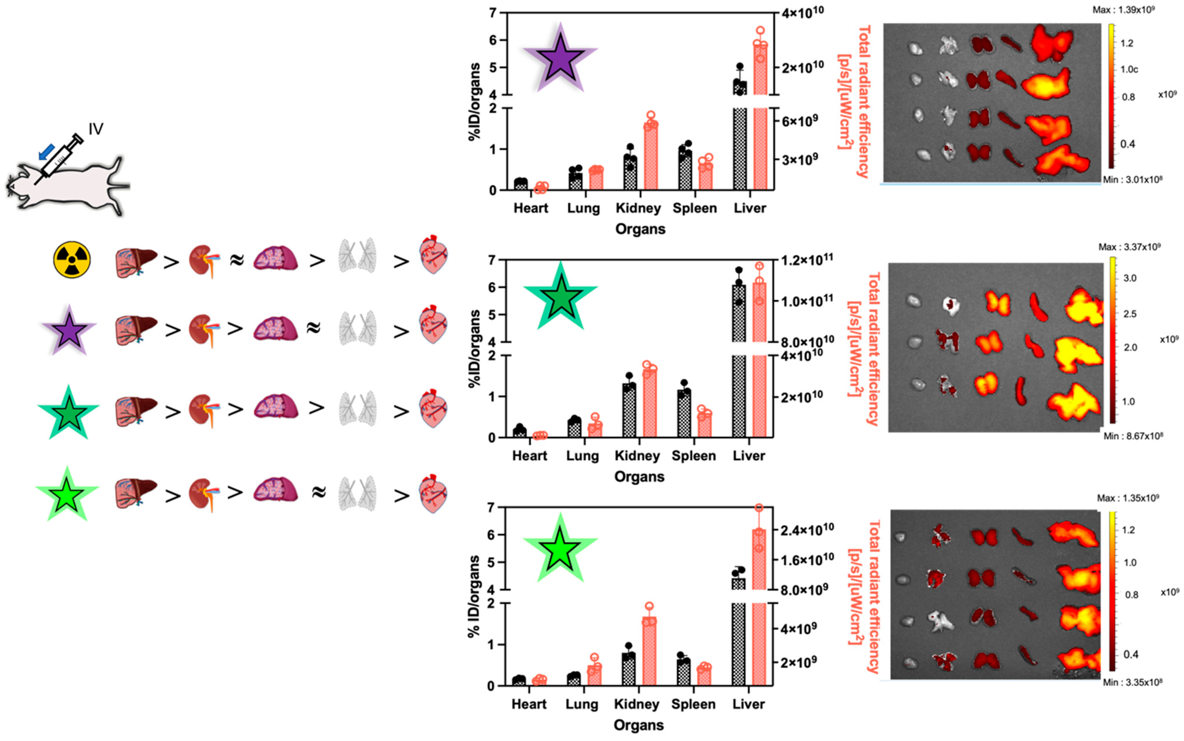 Pharmaceutics 15 00769 g005 Pharmaceutics 15 00769 g005