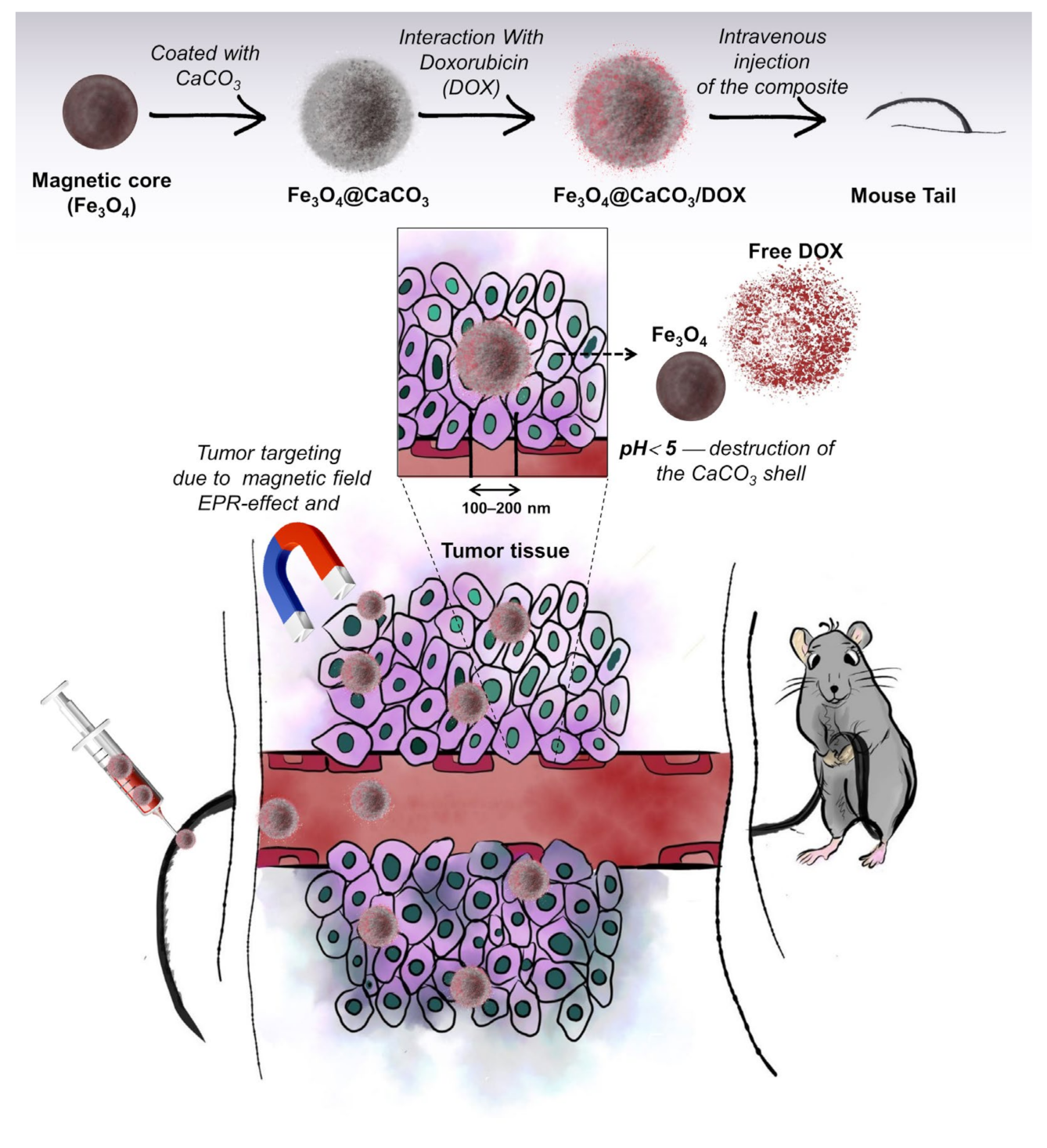 Pharmaceutics 15 00771 g001
