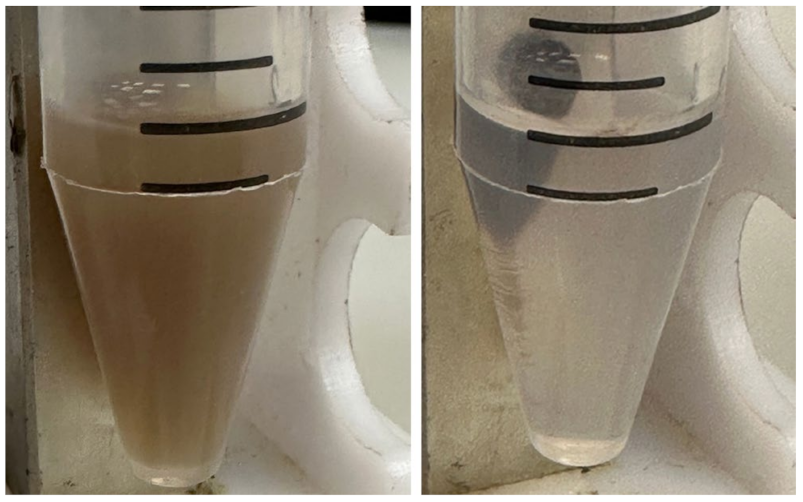 Pharmaceutics 15 00771 g003