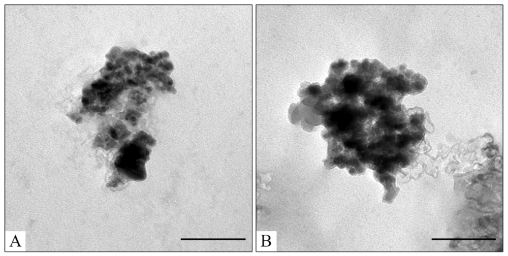 Pharmaceutics 15 00771 g010