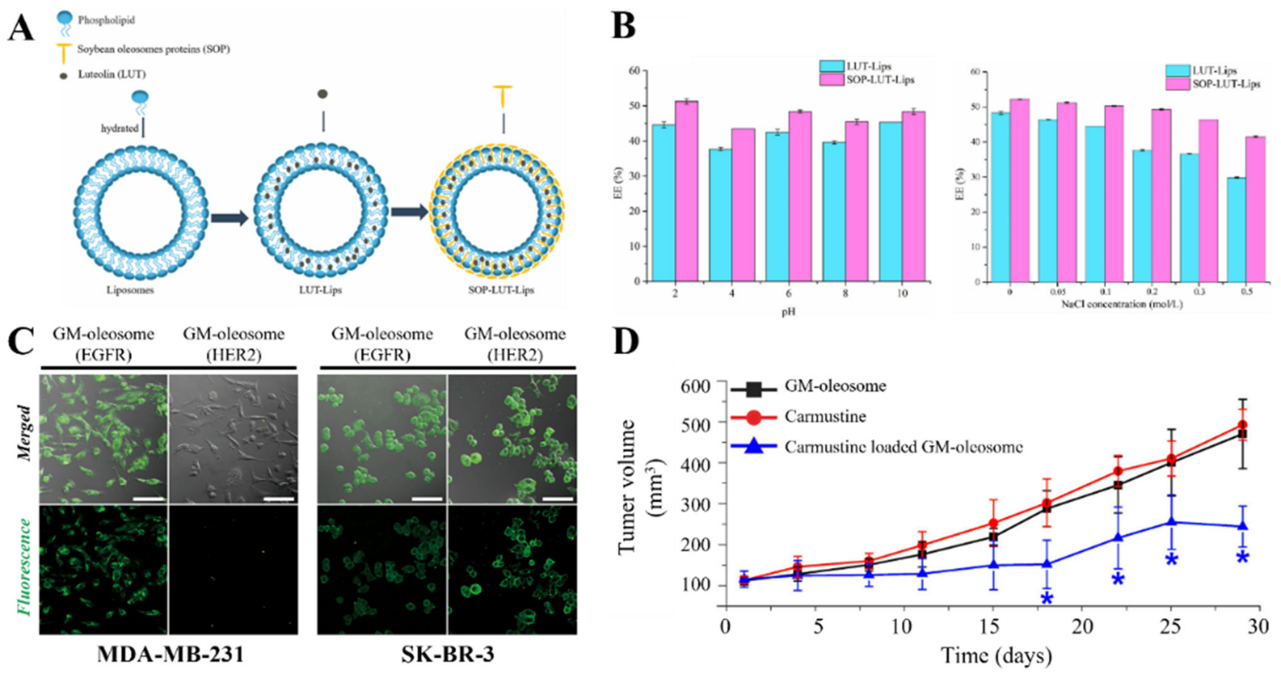 Pharmaceutics 15 00772 g007 Pharmaceutics 15 00772 g007