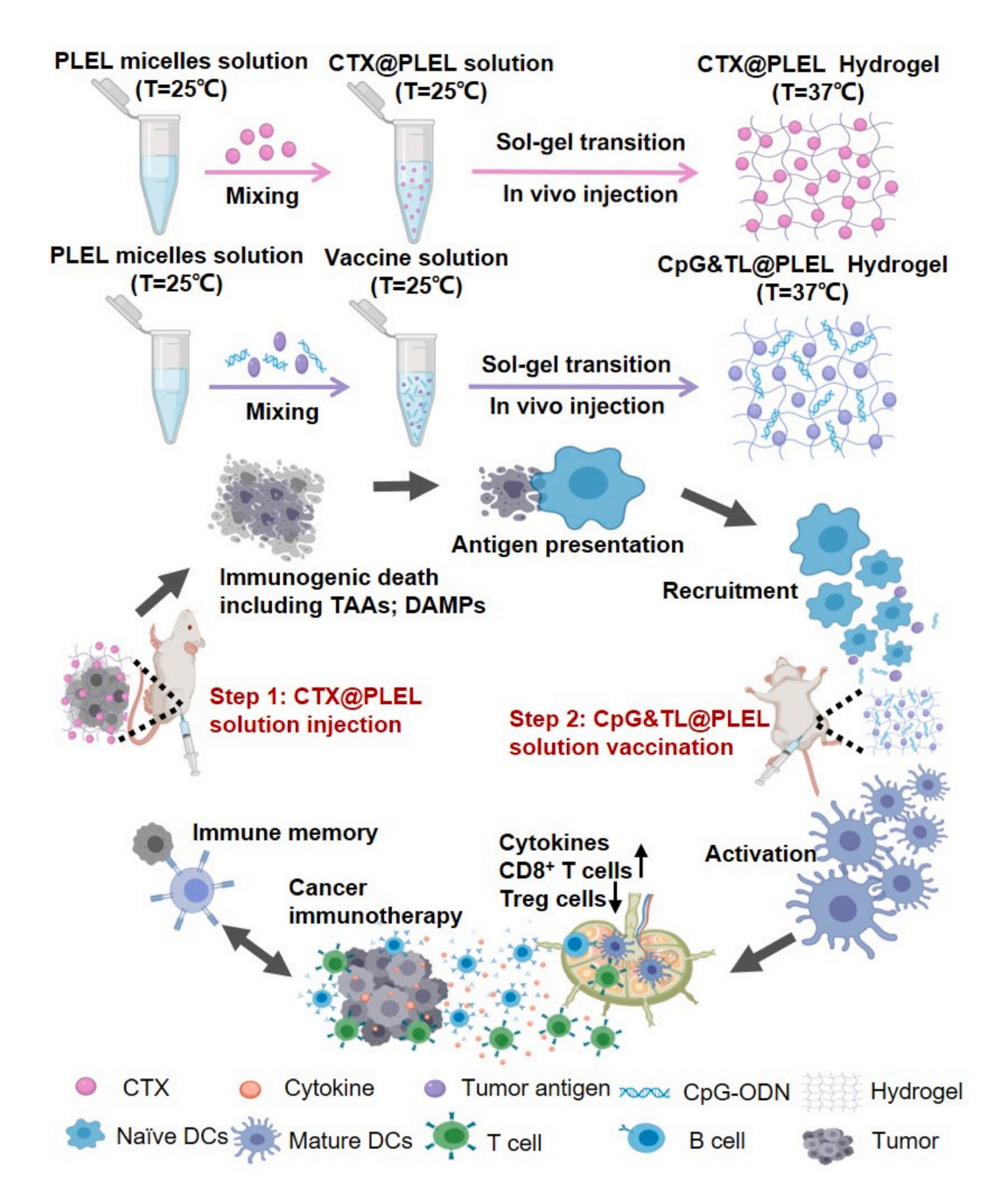 Pharmaceutics 15 00775 g002