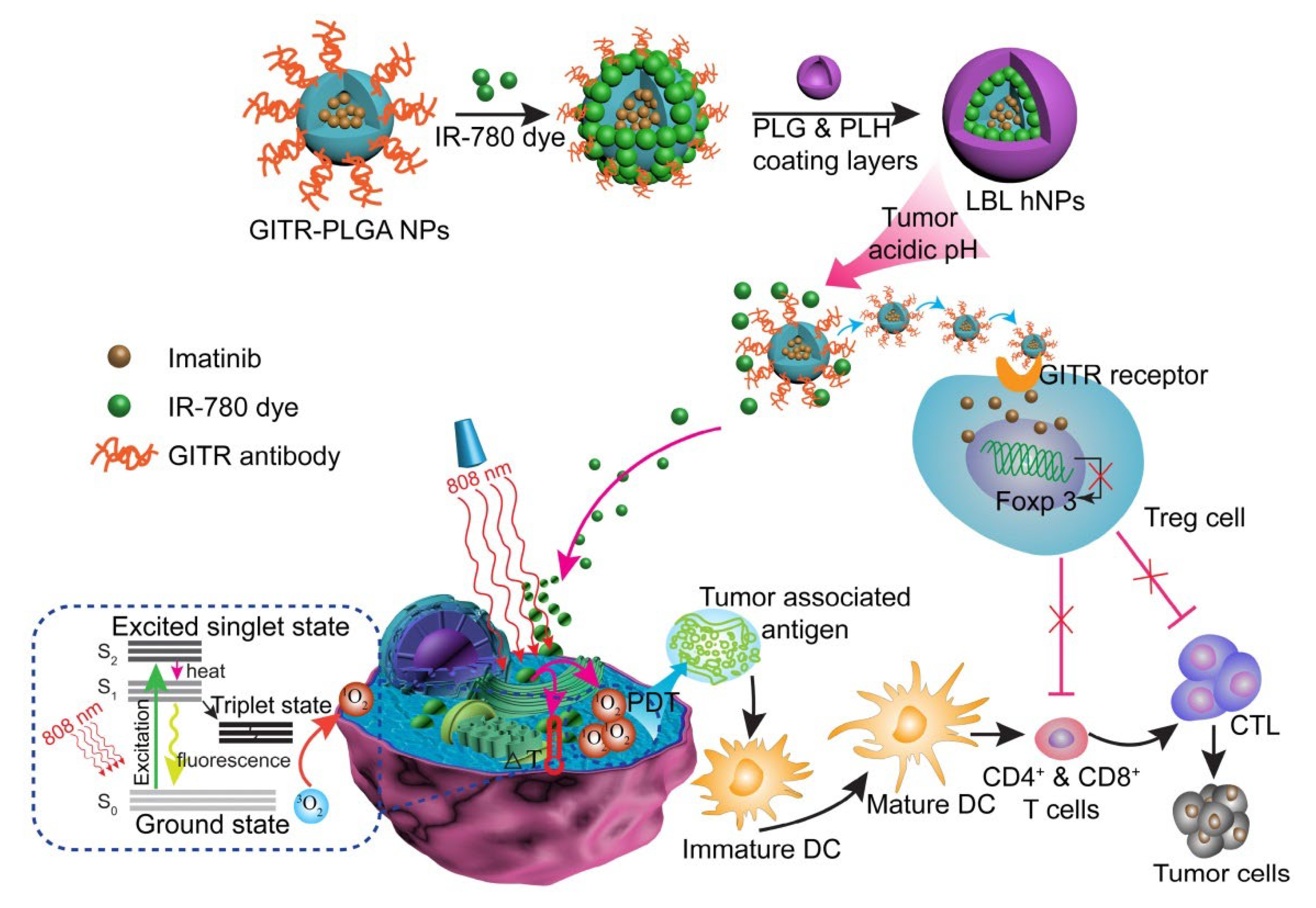 Pharmaceutics 15 00775 g003