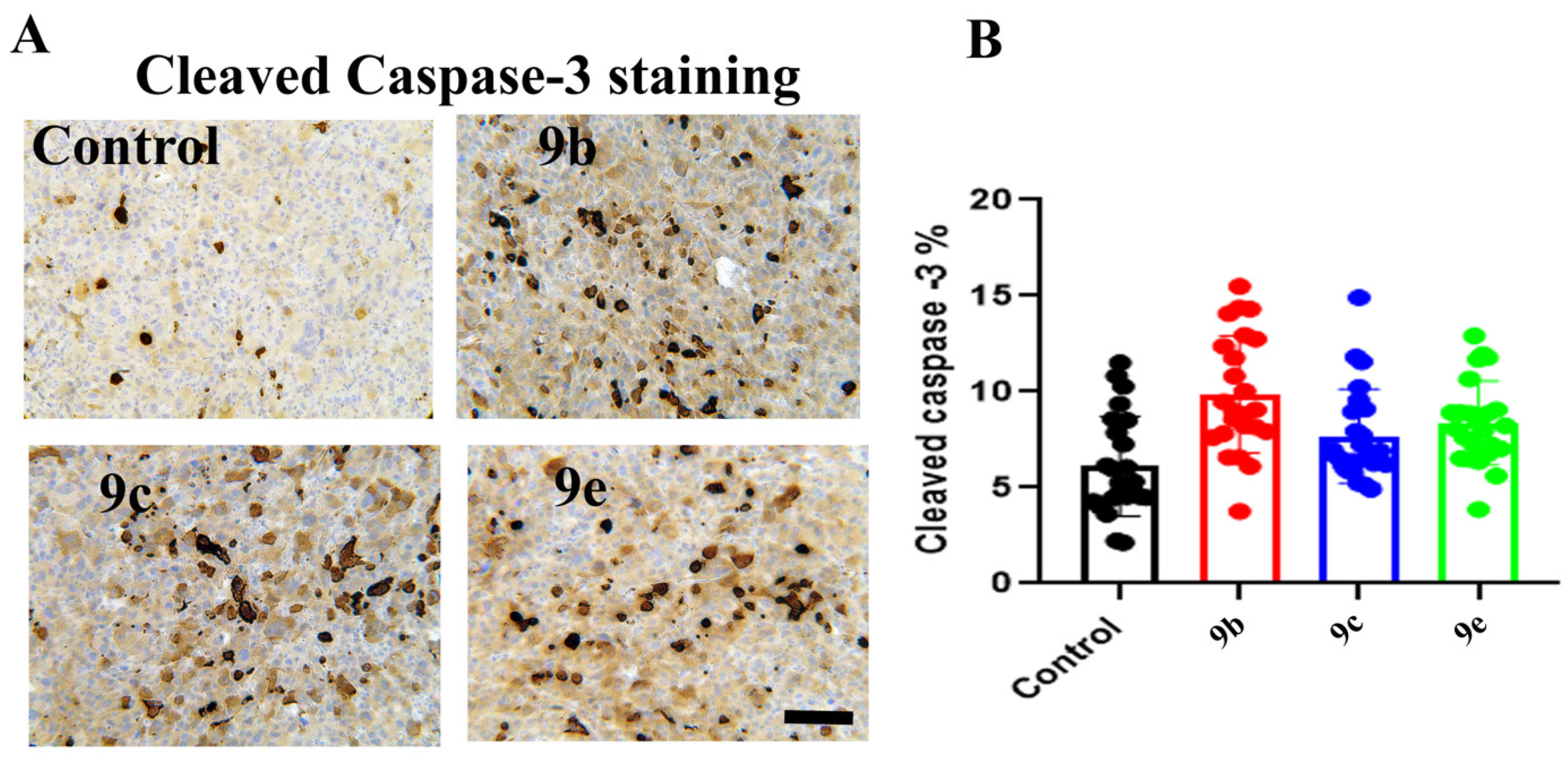 Pharmaceutics 15 00787 g005