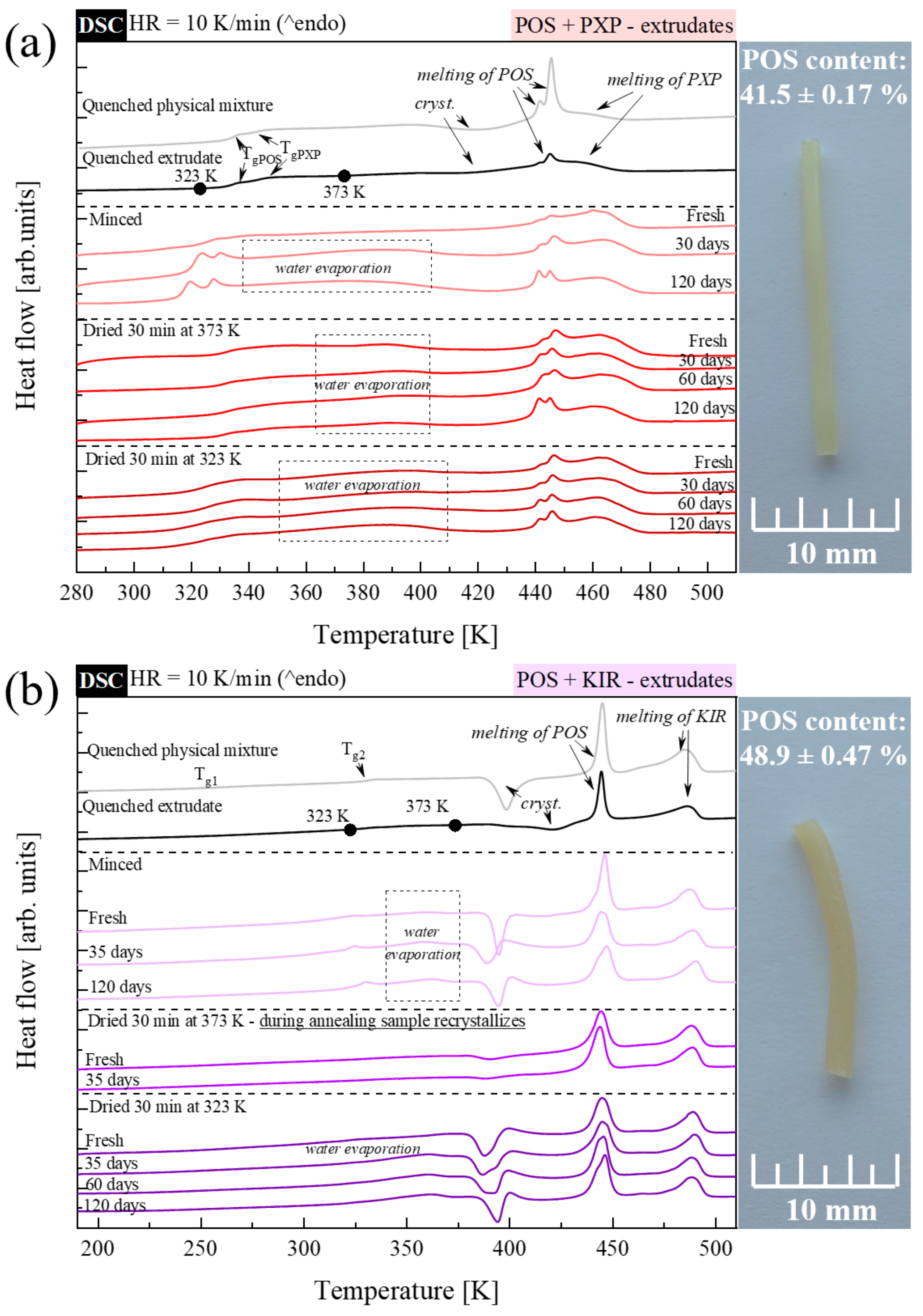 Pharmaceutics 15 00799 g008 Pharmaceutics 15 00799 g008