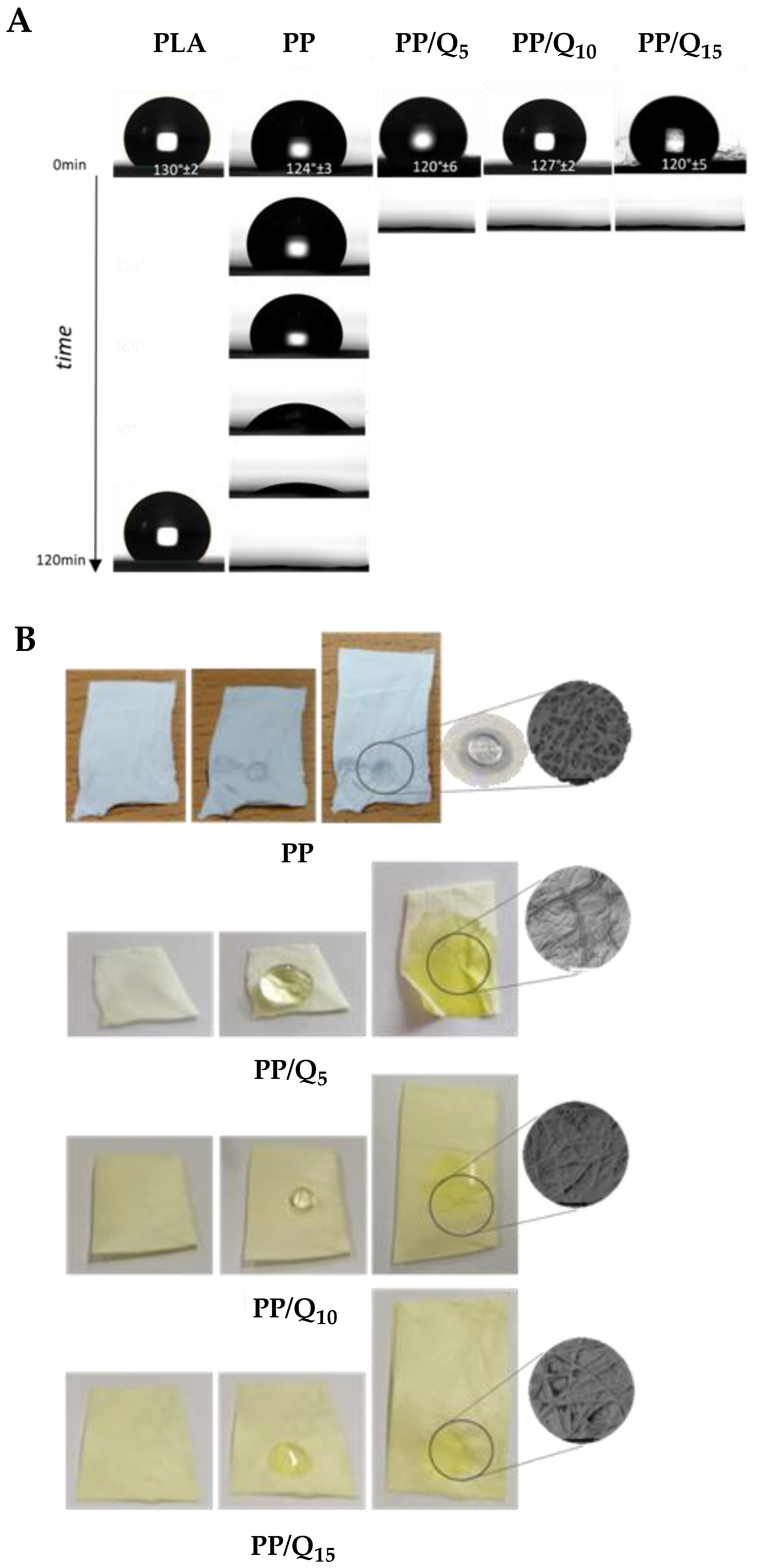 Pharmaceutics 15 00805 g002