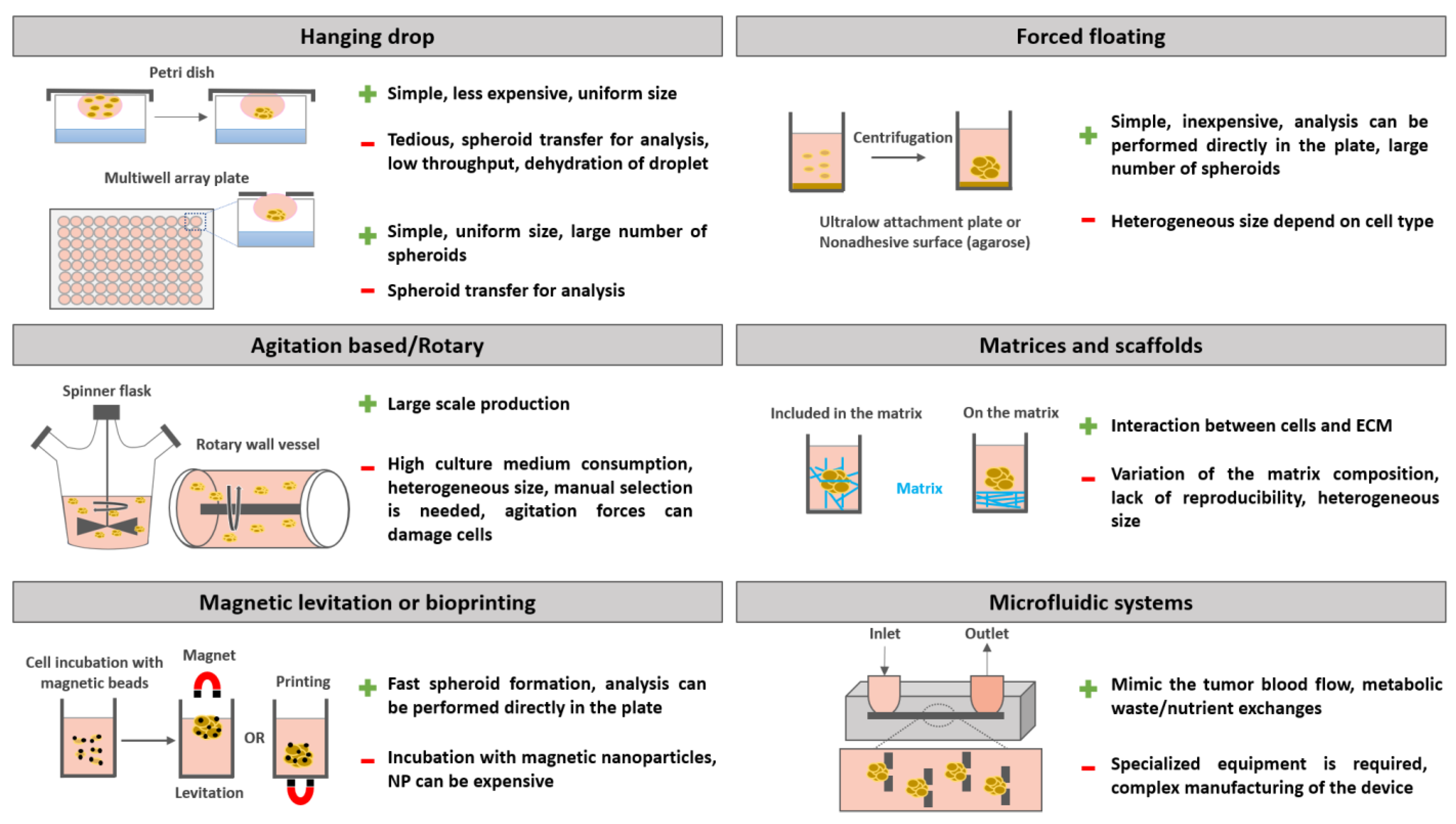 Pharmaceutics 15 00806 g002 Pharmaceutics 15 00806 g002