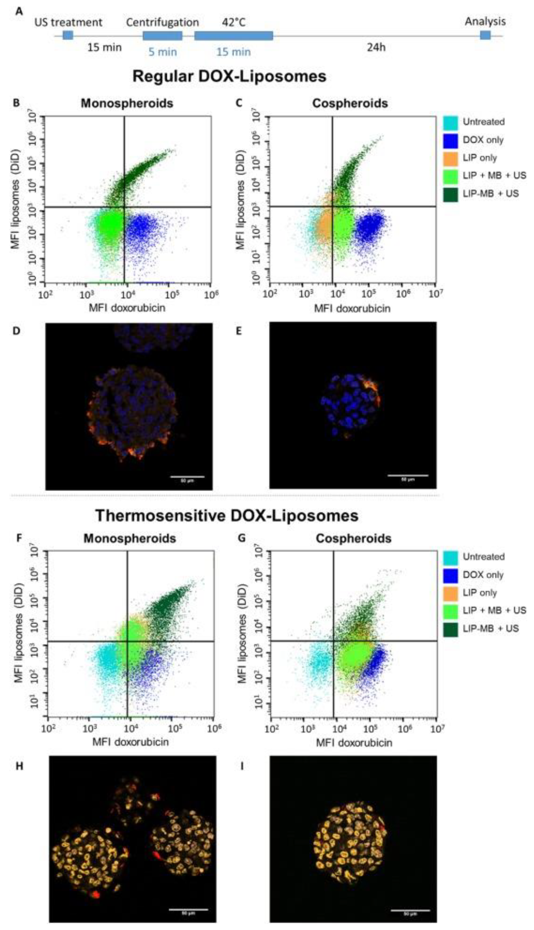 Pharmaceutics 15 00806 g004 Pharmaceutics 15 00806 g004
