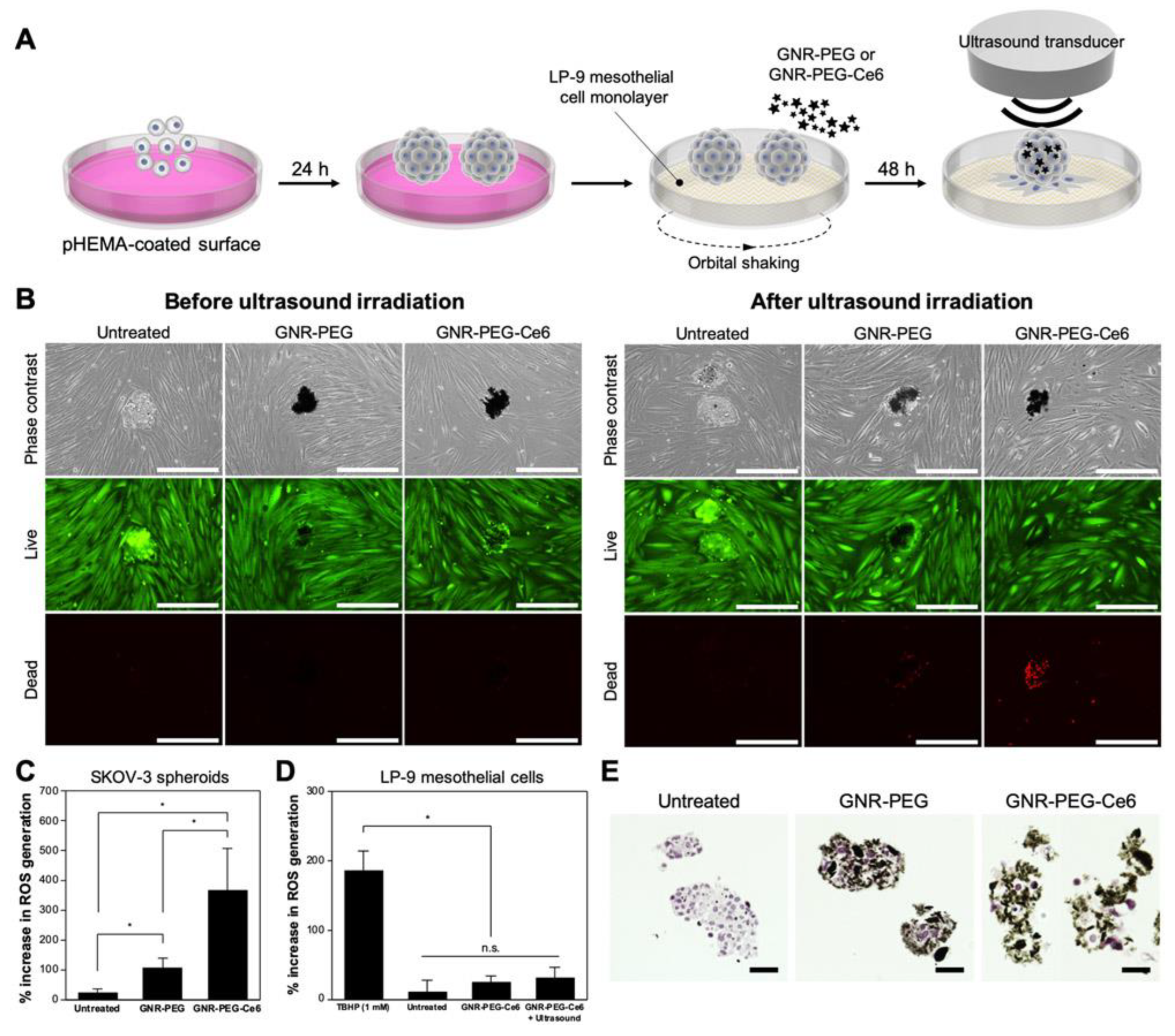 Pharmaceutics 15 00806 g005 Pharmaceutics 15 00806 g005