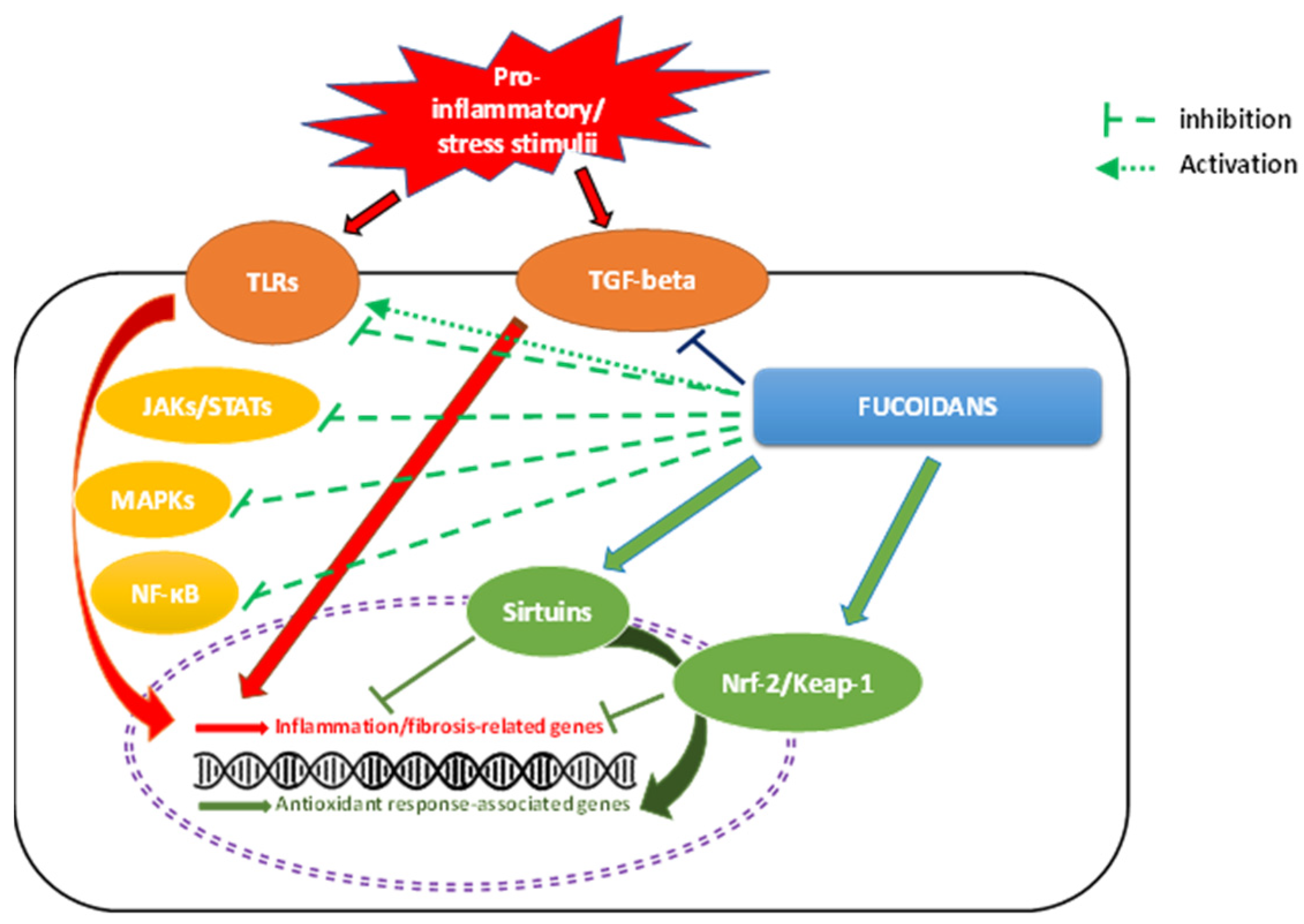 Pharmaceutics 15 00808 g003 Pharmaceutics 15 00808 g003
