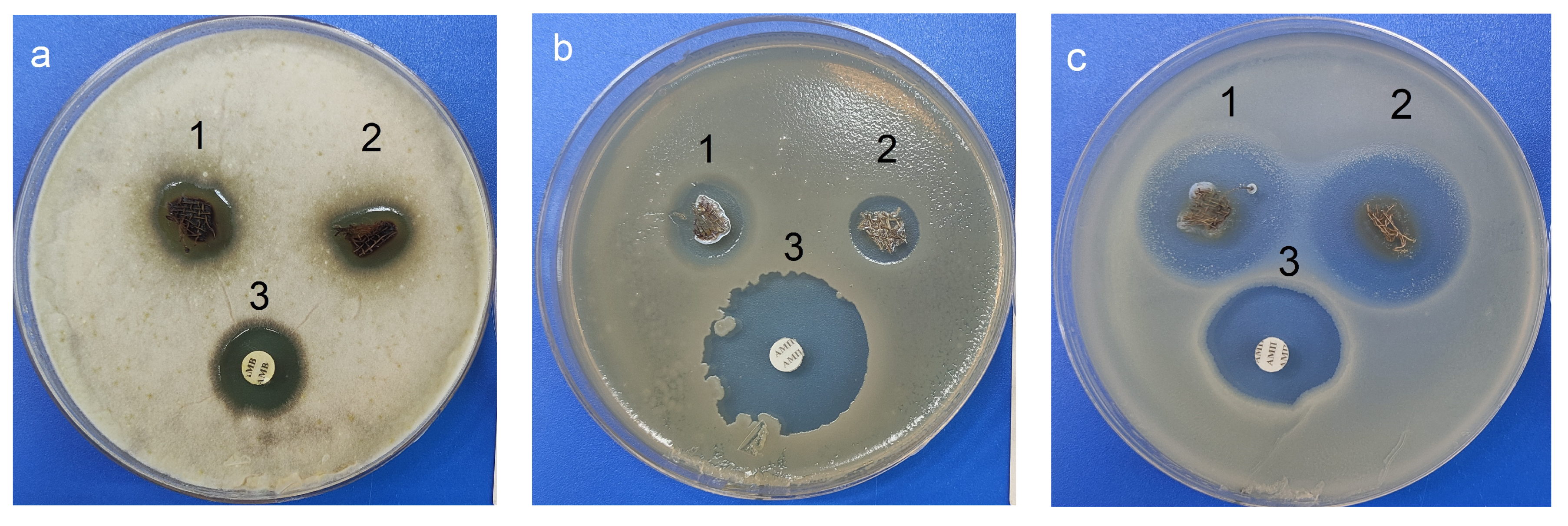 Pharmaceutics 15 00809 g015