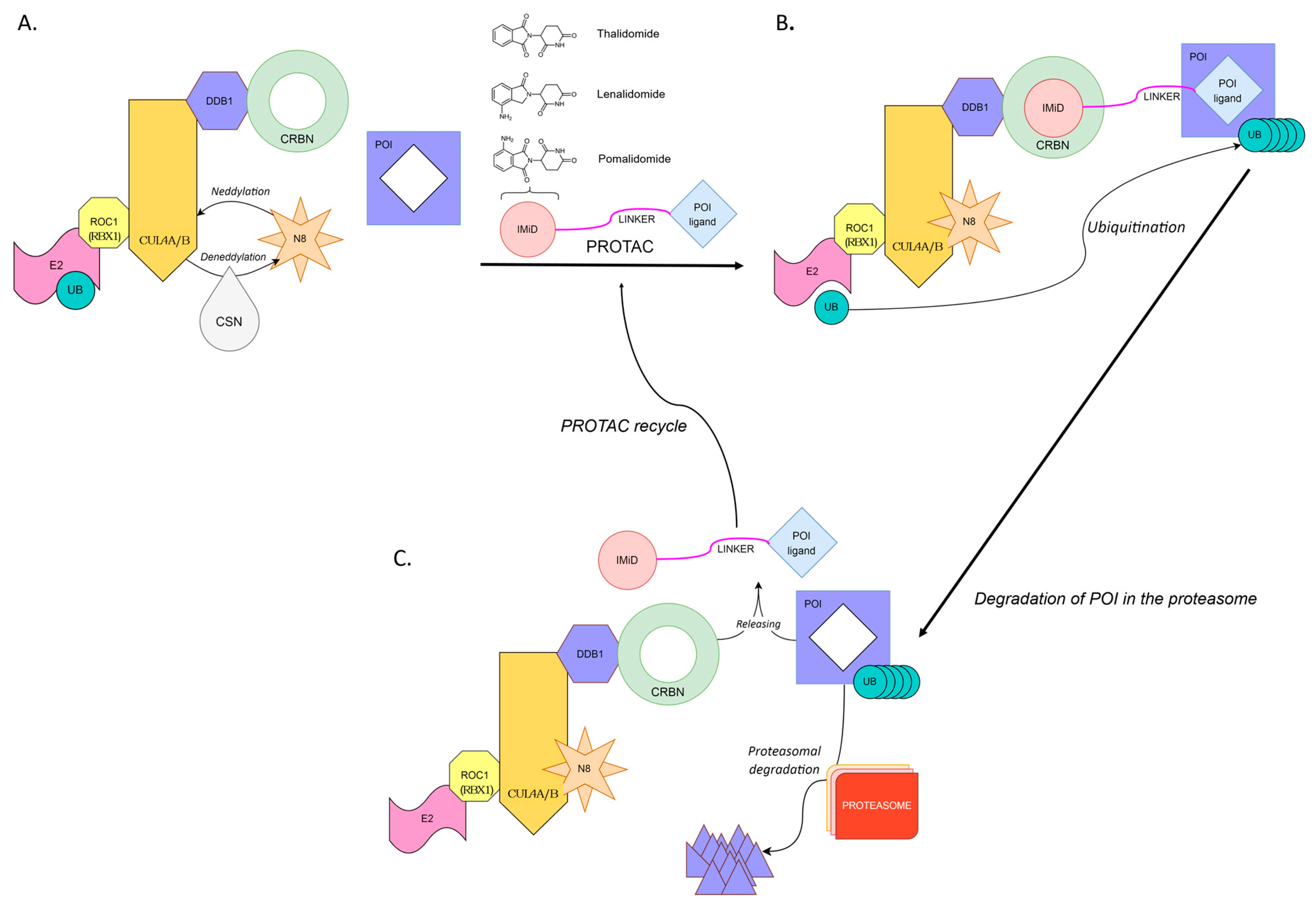 Pharmaceutics 15 00812 g001