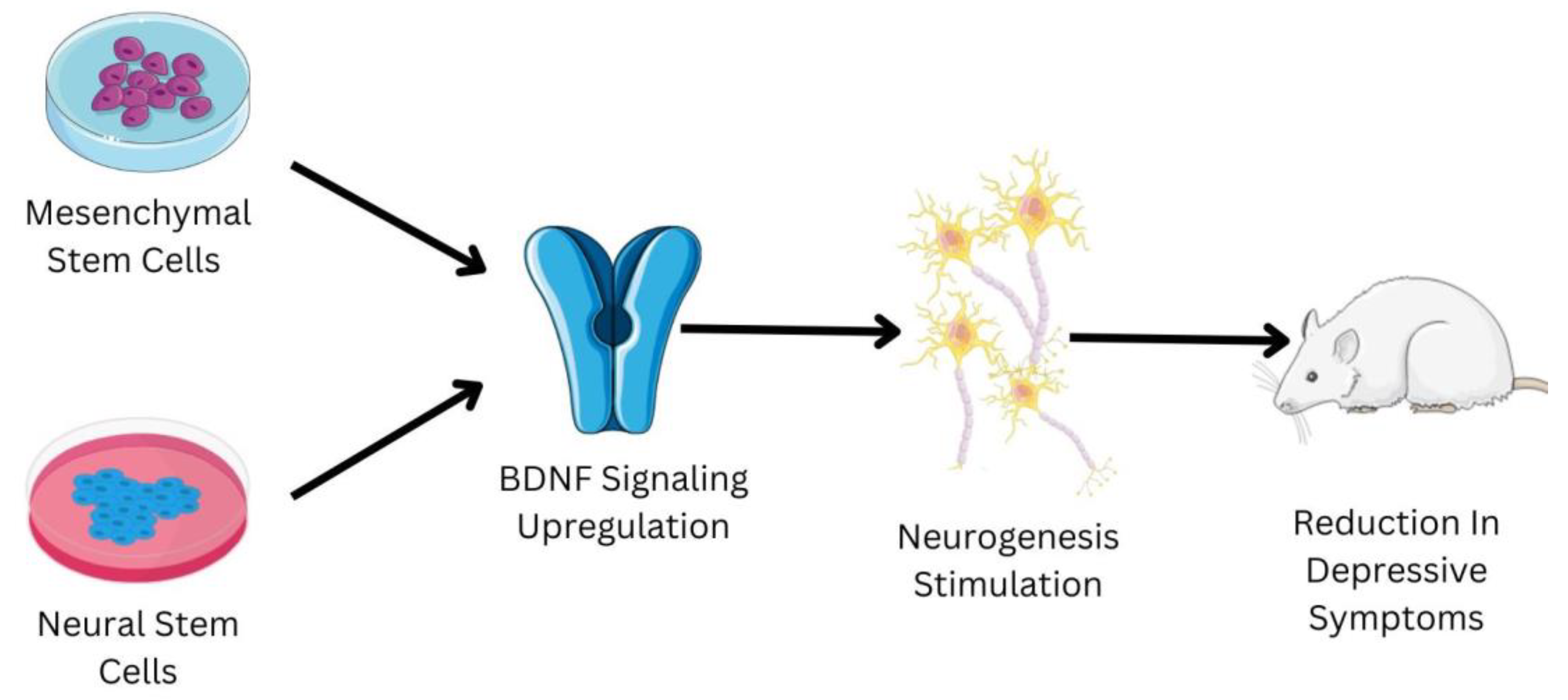 Pharmaceutics 15 00814 g003