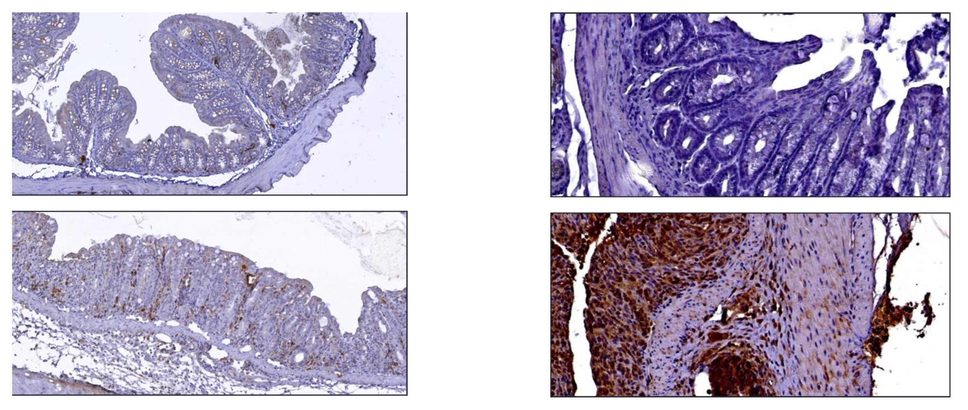 Pharmaceutics 15 00817 g001