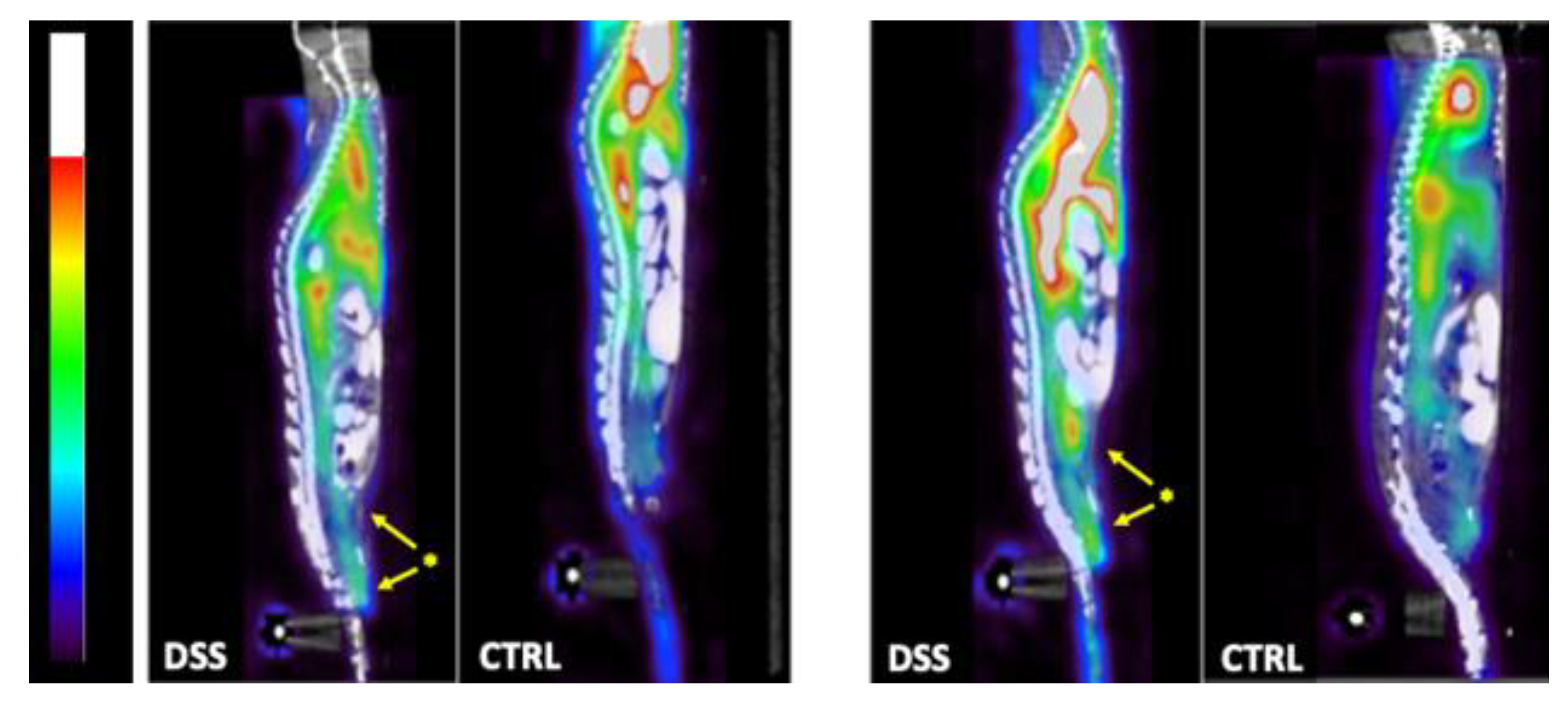 Pharmaceutics 15 00817 g006