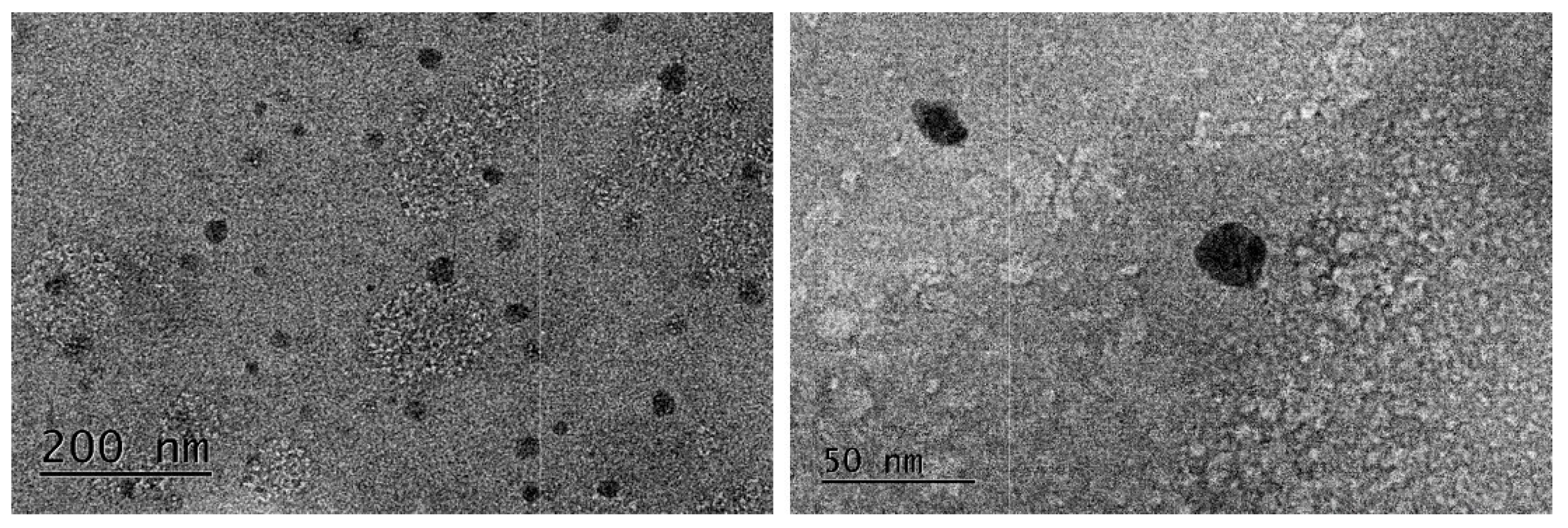 Pharmaceutics 15 00829 g001 Pharmaceutics 15 00829 g001
