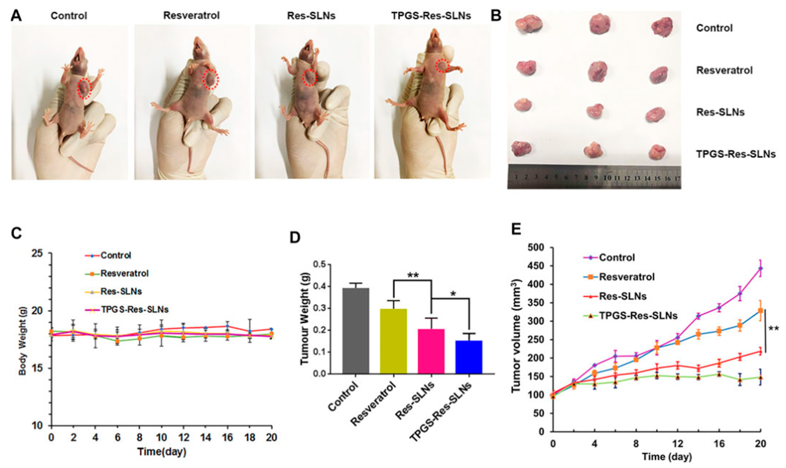 Pharmaceutics 15 00831 g003
