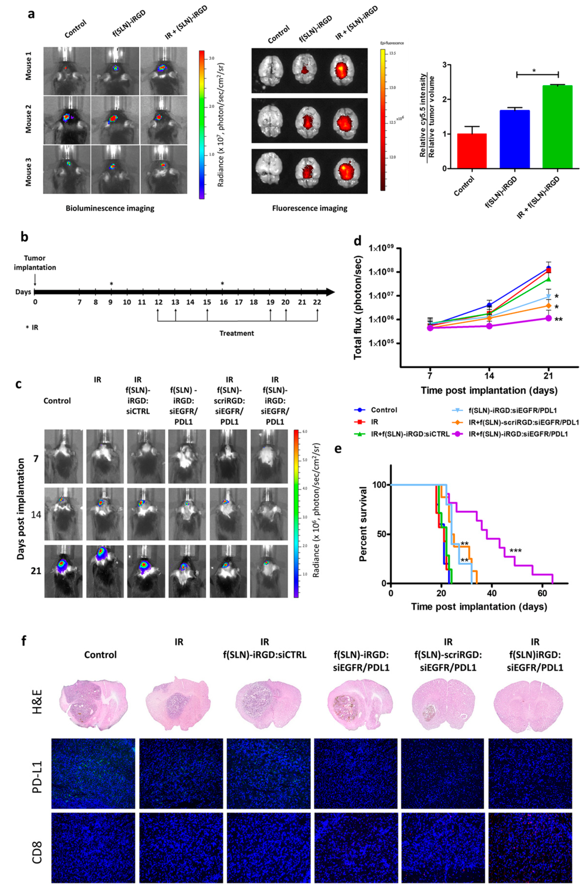 Pharmaceutics 15 00831 g004