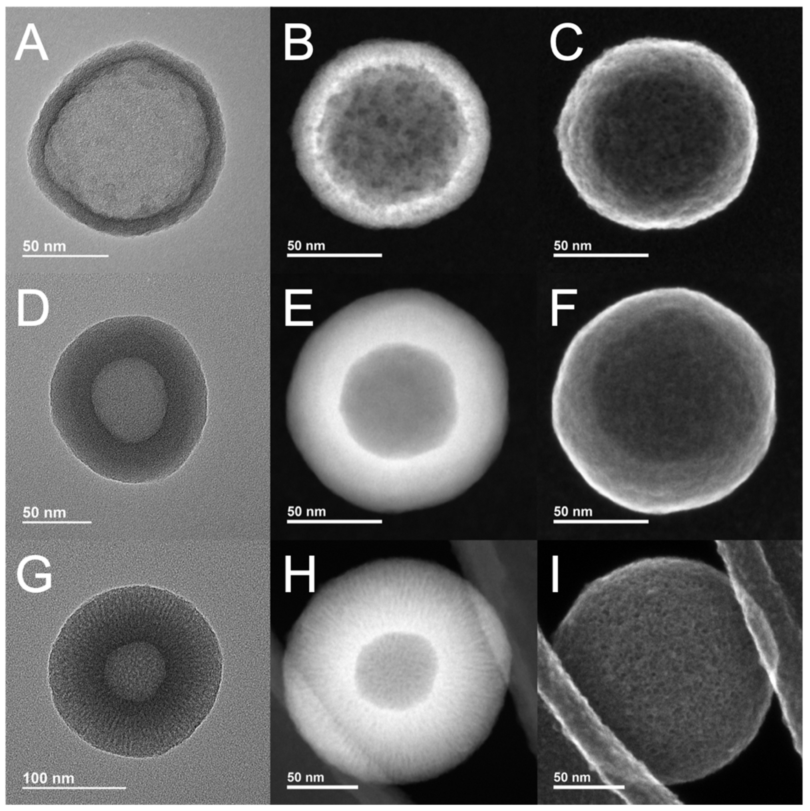 Pharmaceutics 15 00832 g001 Pharmaceutics 15 00832 g001
