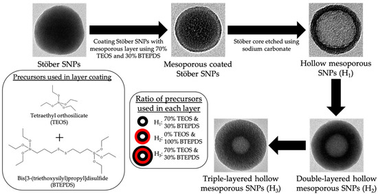 Pharmaceutics 15 00832 sch001
