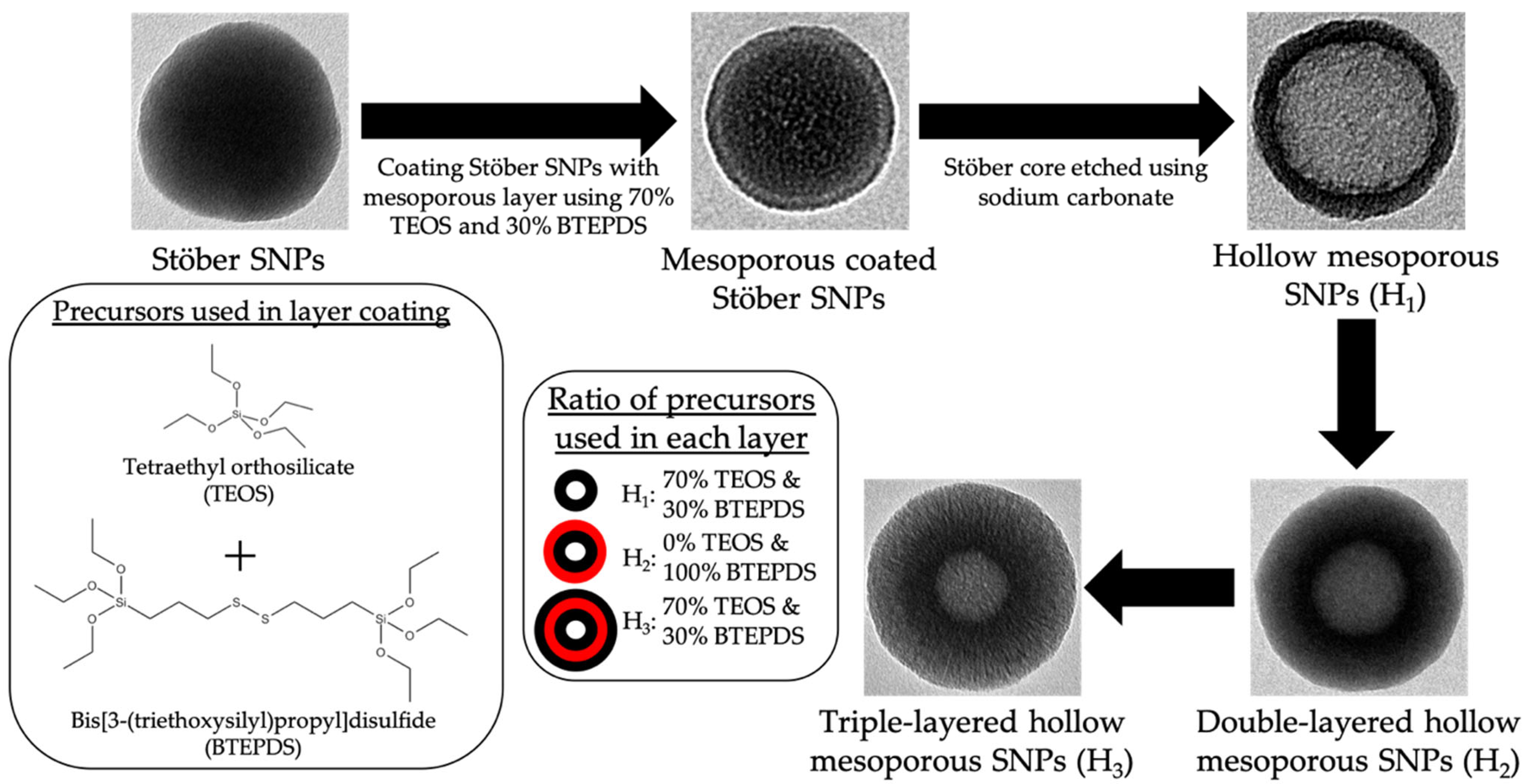 Pharmaceutics 15 00832 sch001 Pharmaceutics 15 00832 sch001