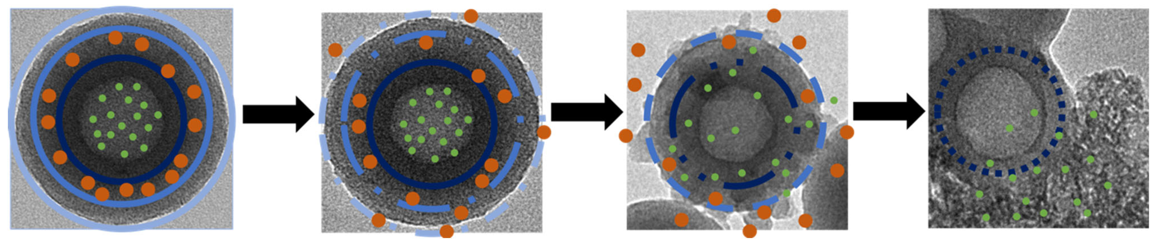 Pharmaceutics 15 00832 sch002 Pharmaceutics 15 00832 sch002