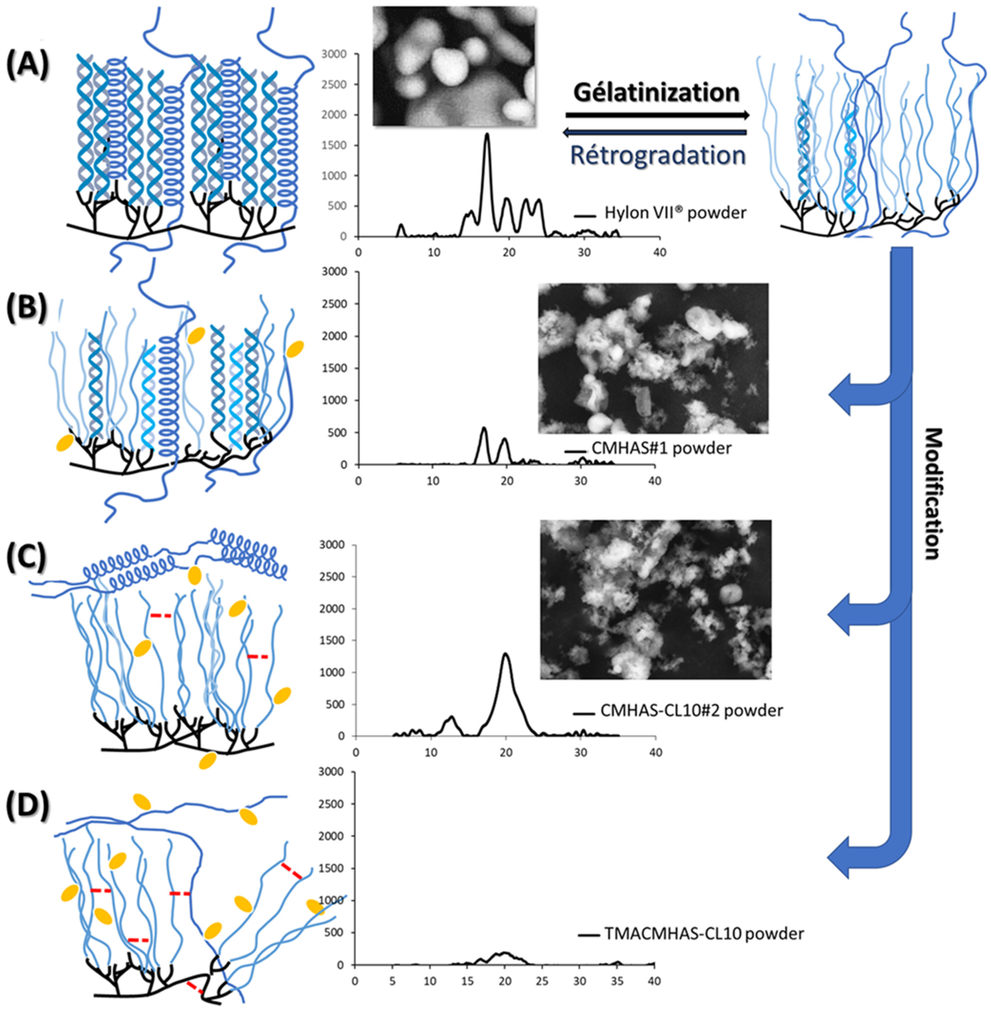 Pharmaceutics 15 00834 g005 Pharmaceutics 15 00834 g005