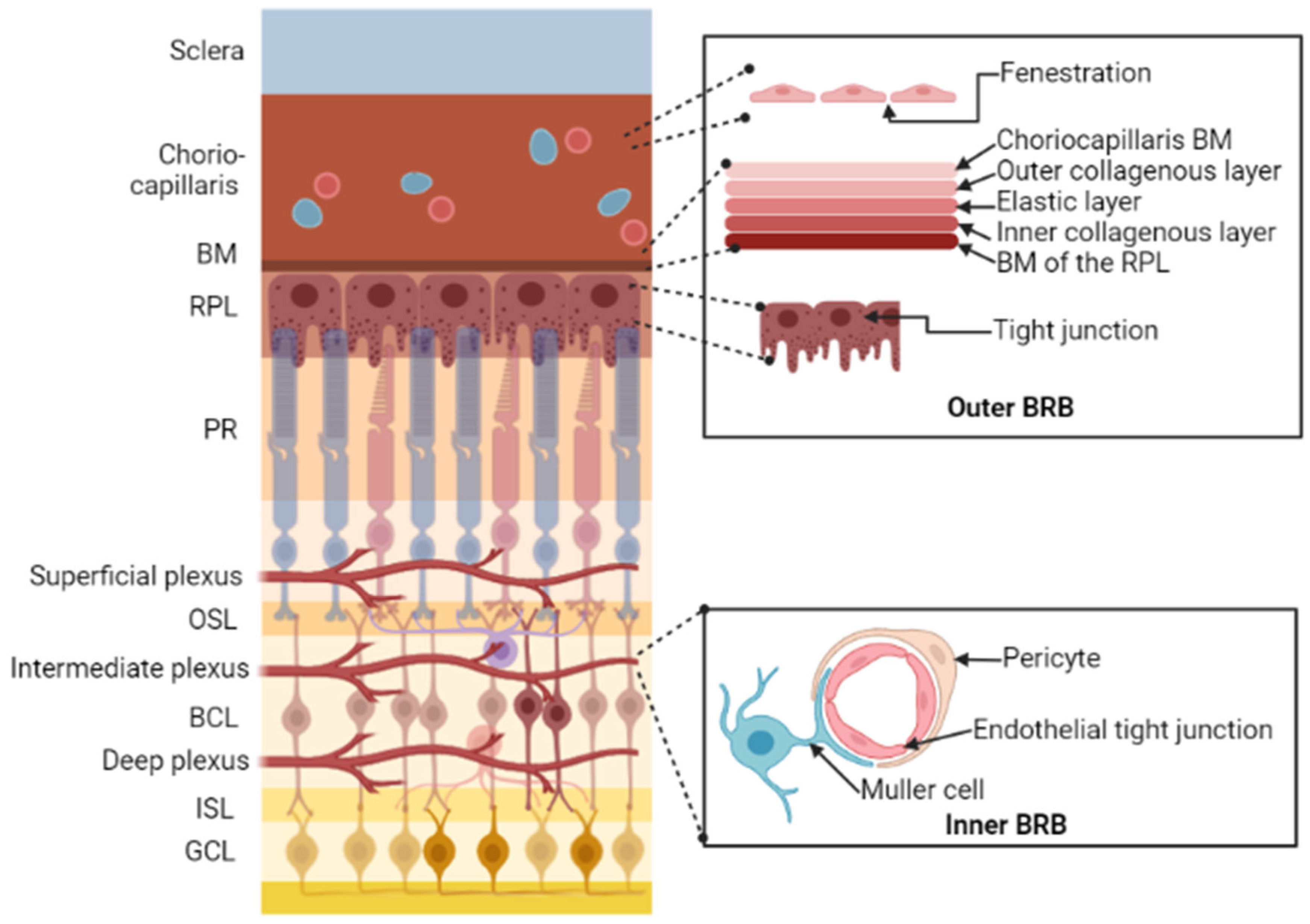 Pharmaceutics 15 00837 g001 Pharmaceutics 15 00837 g001