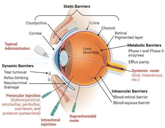 Pharmaceutics 15 00837 g003