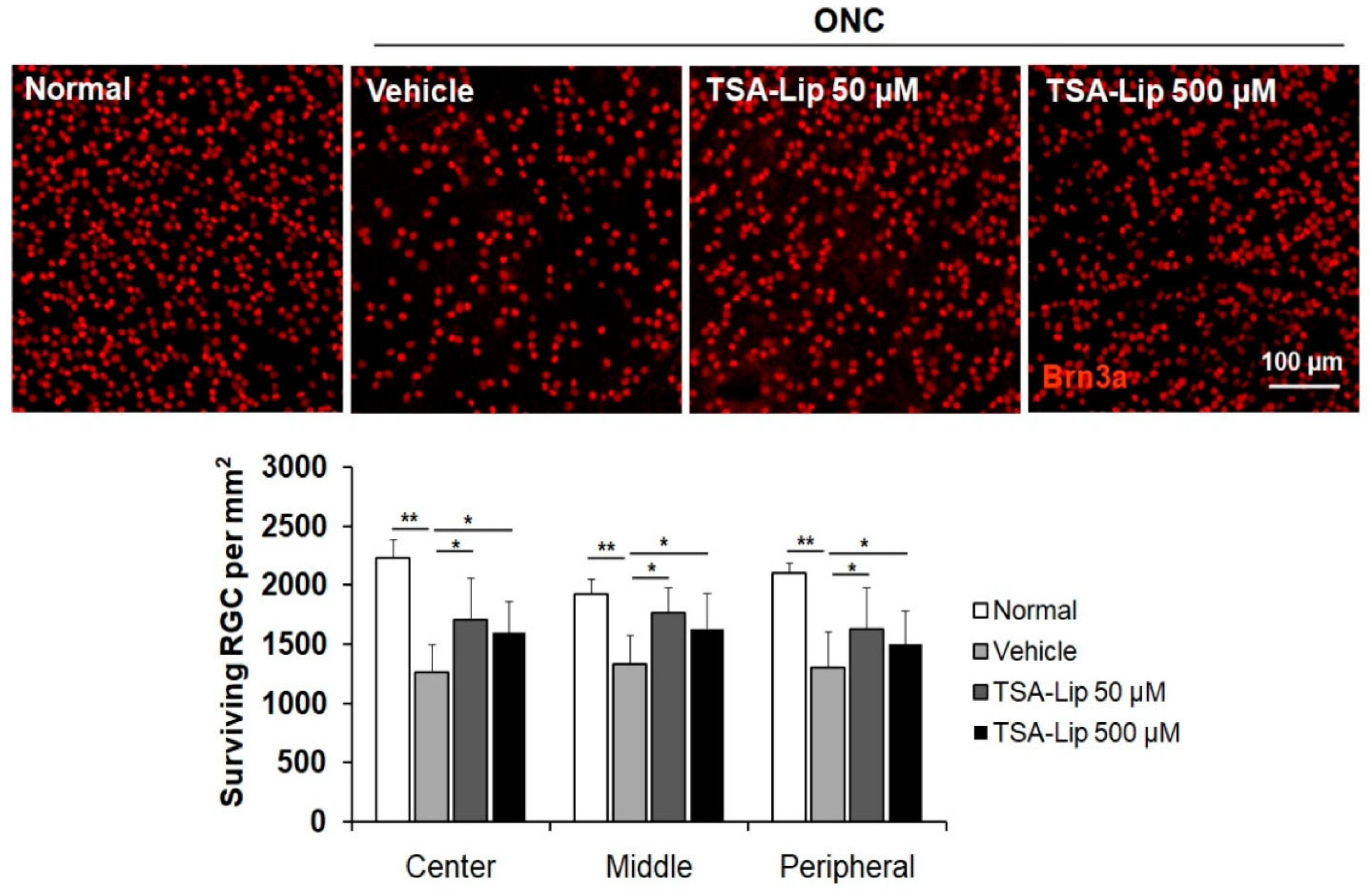 Pharmaceutics 15 00837 g006 Pharmaceutics 15 00837 g006