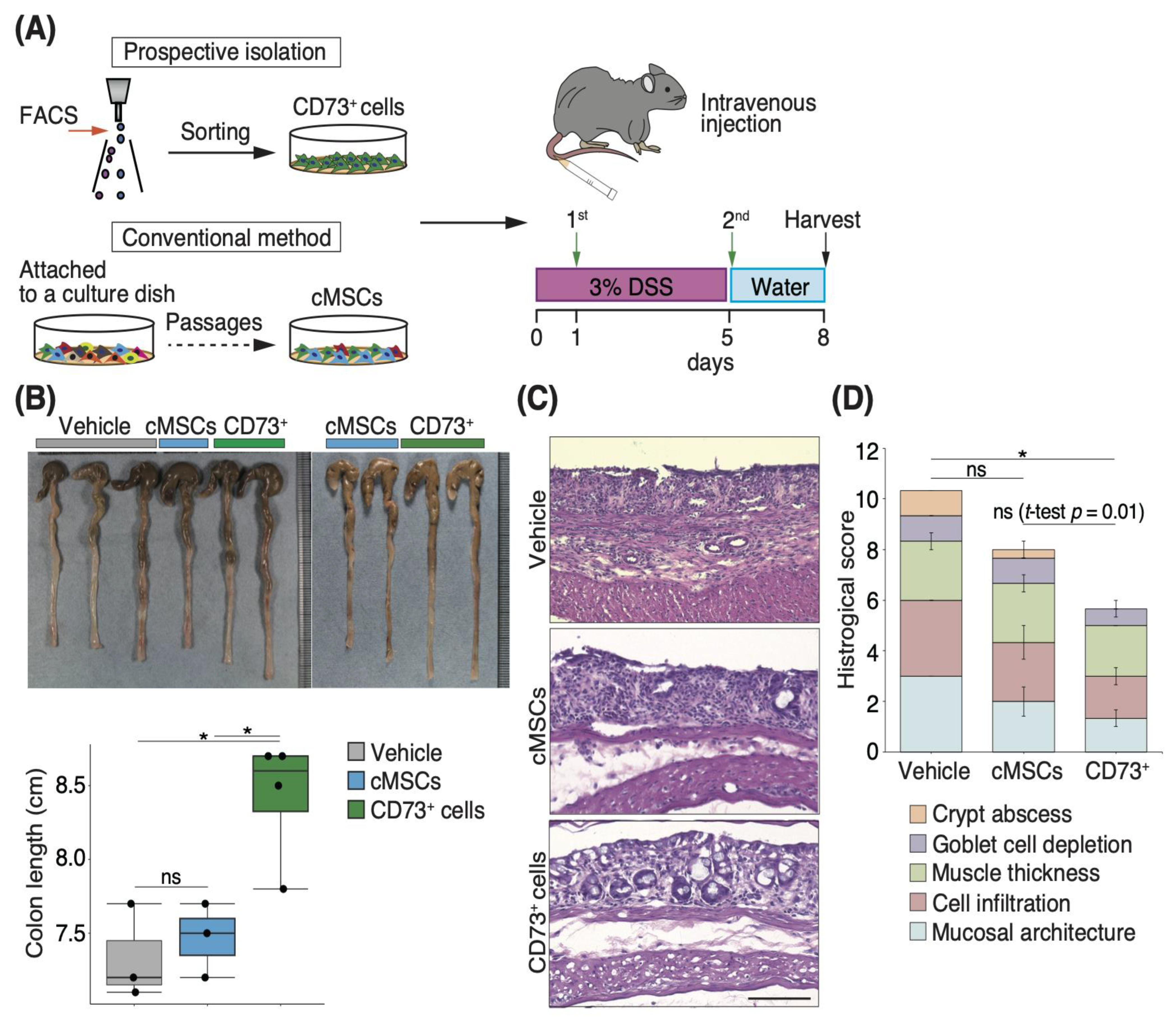 Pharmaceutics 15 00845 g001