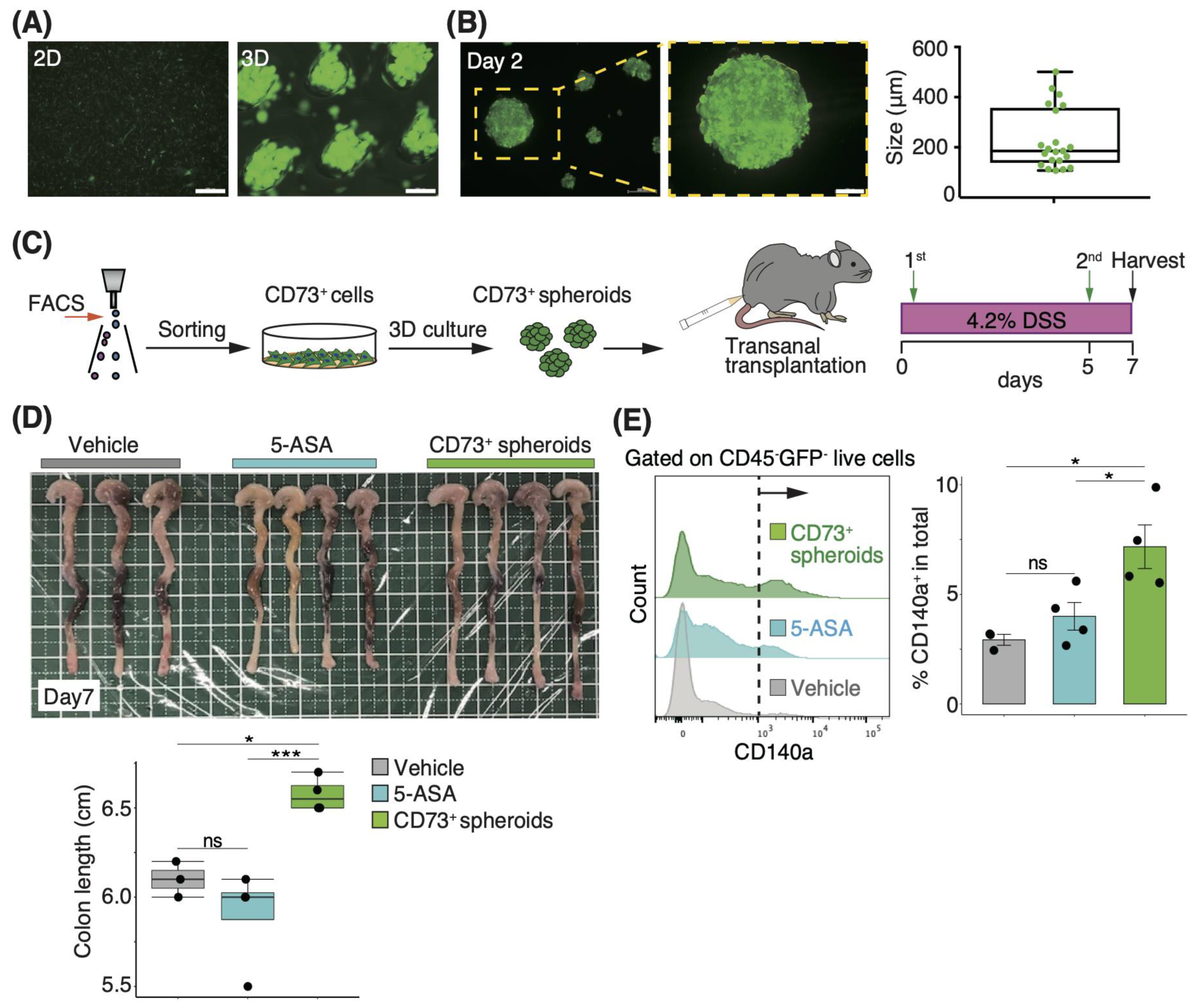 Pharmaceutics 15 00845 g003