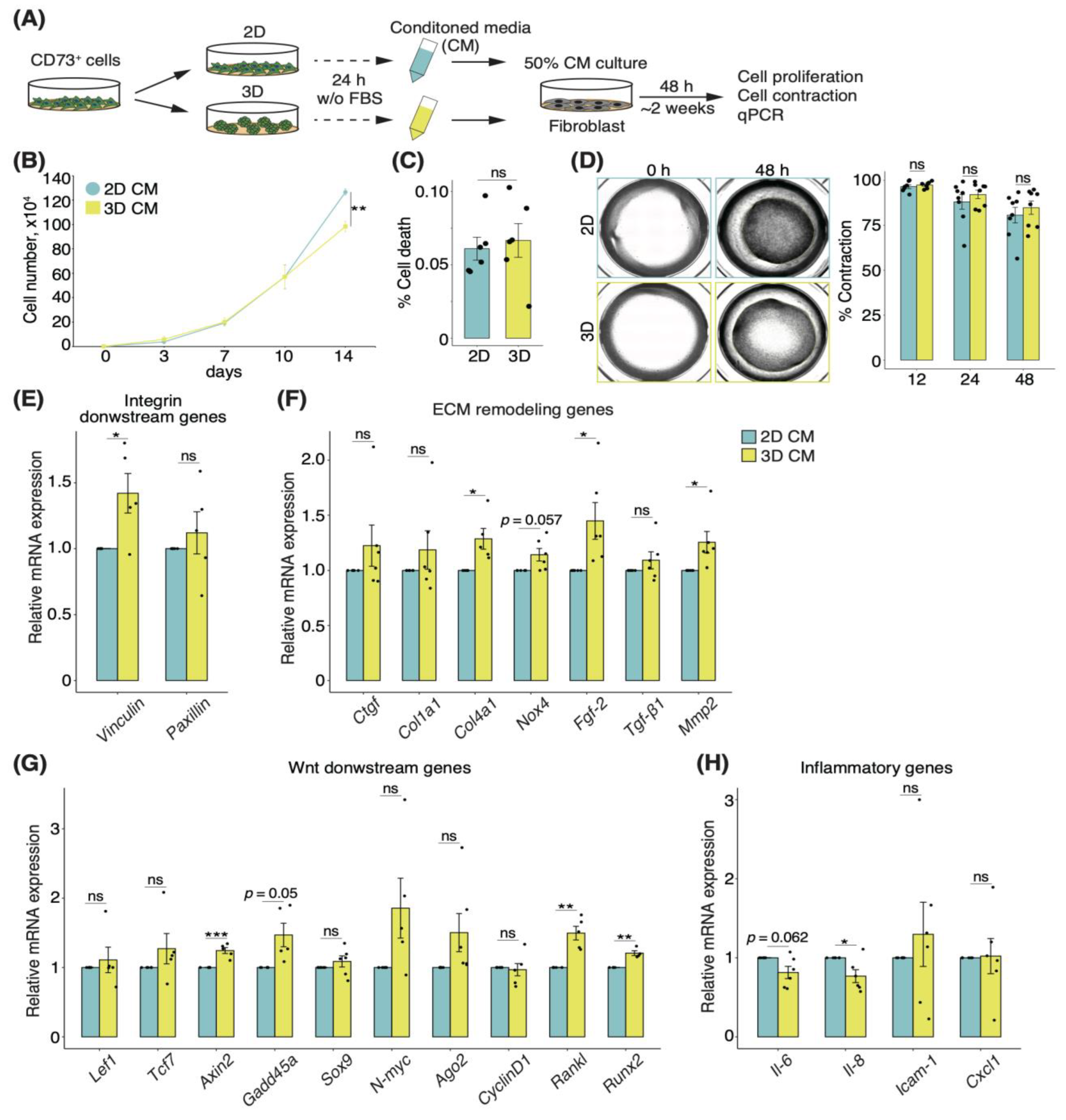 Pharmaceutics 15 00845 g006