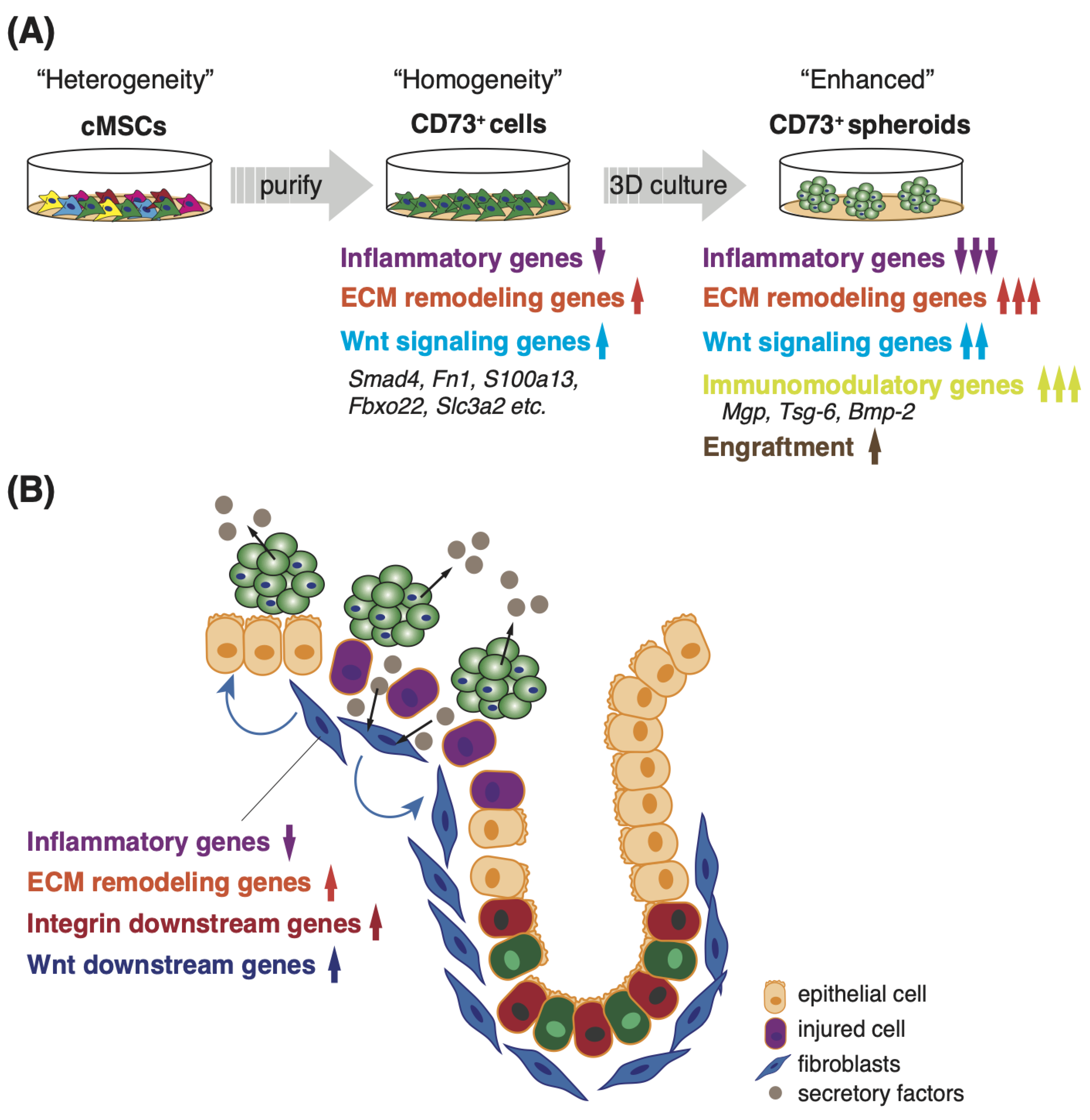 Pharmaceutics 15 00845 g007
