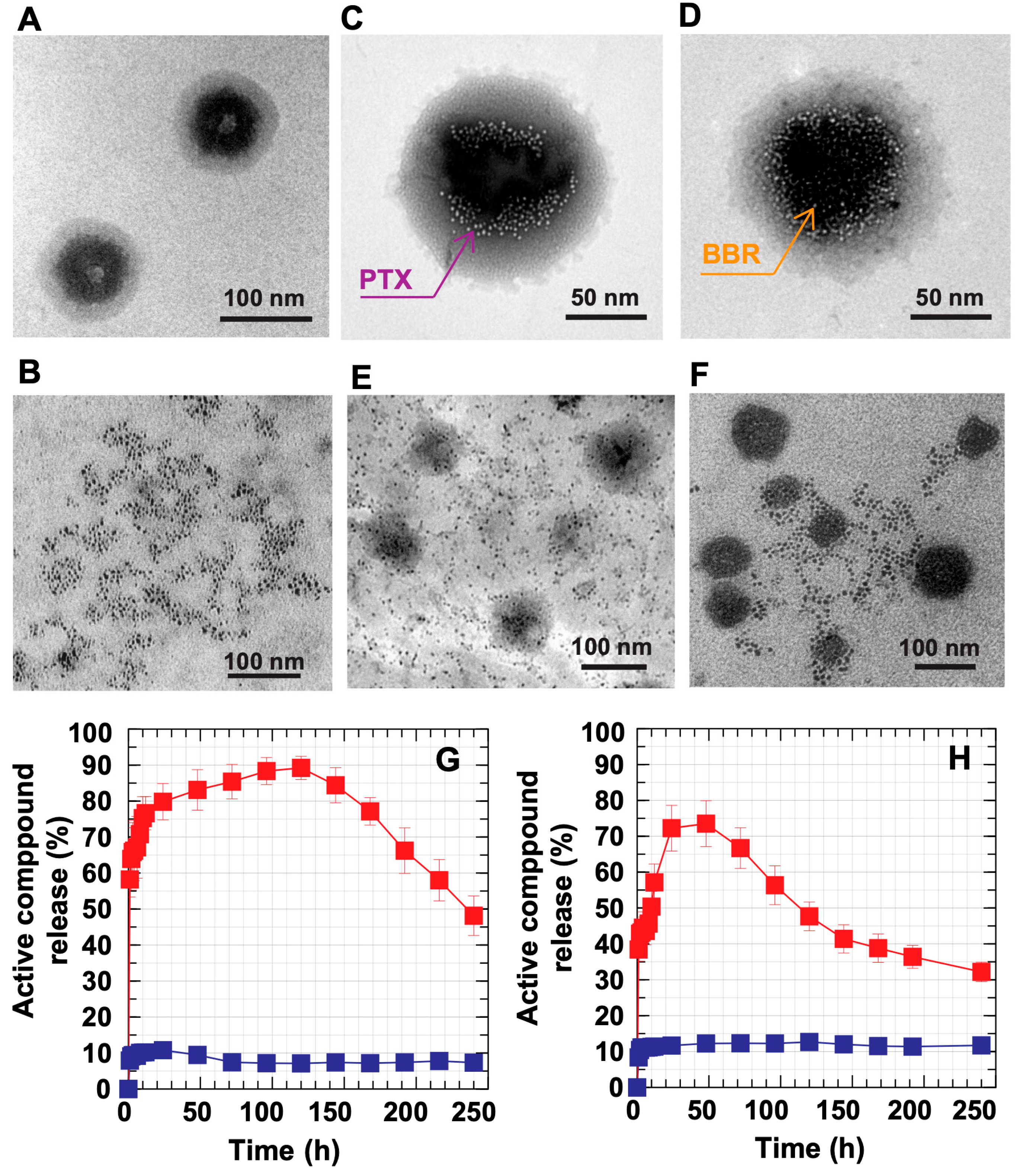 Pharmaceutics 15 00847 g005