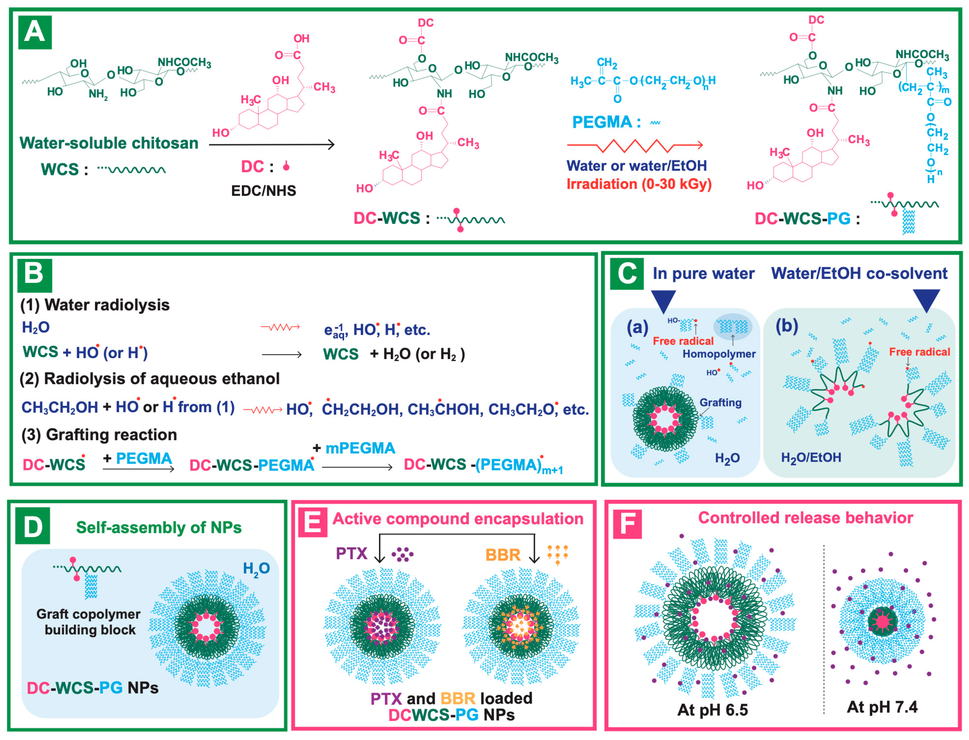 Pharmaceutics 15 00847 sch001
