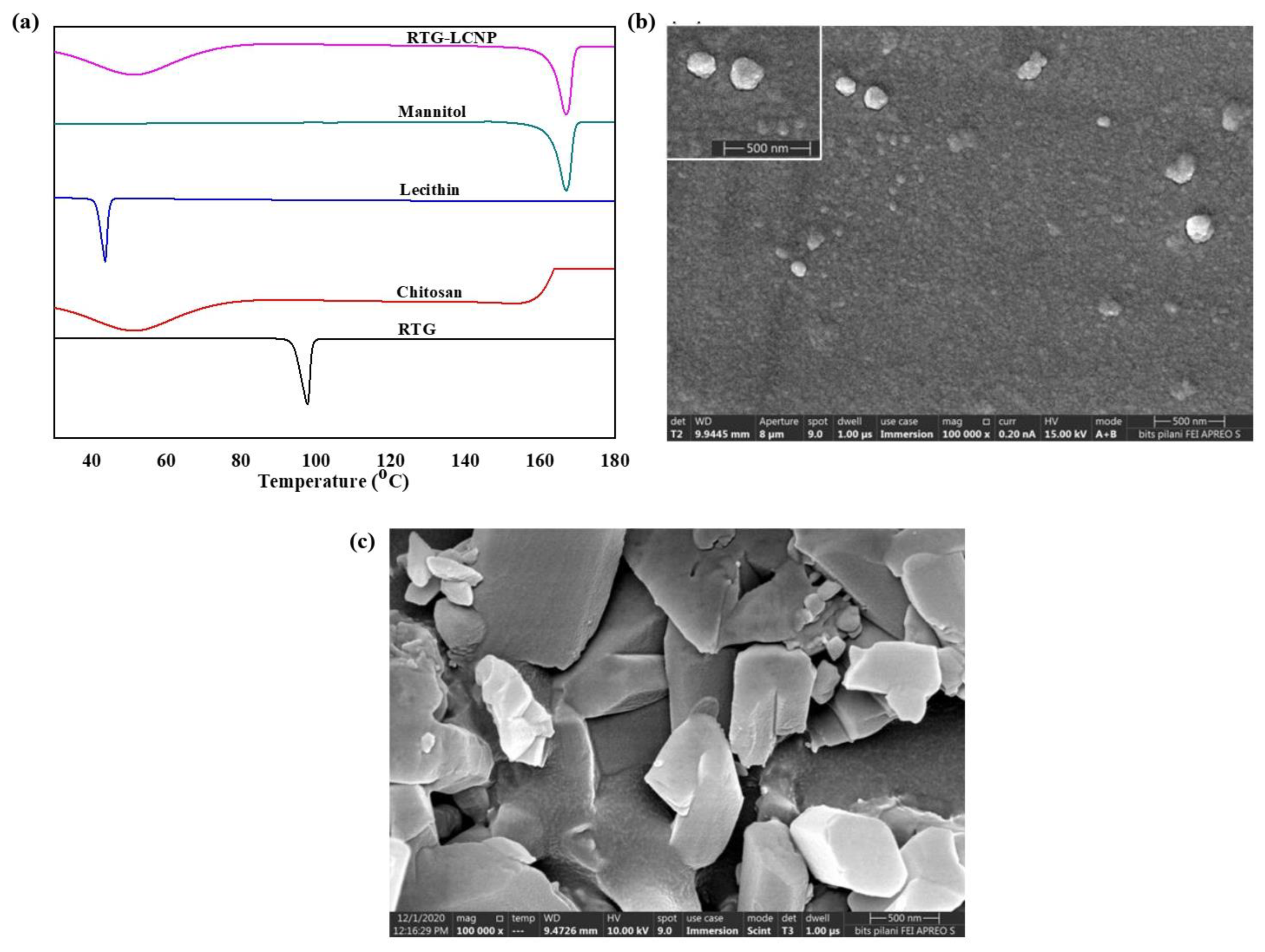 Pharmaceutics 15 00851 g003