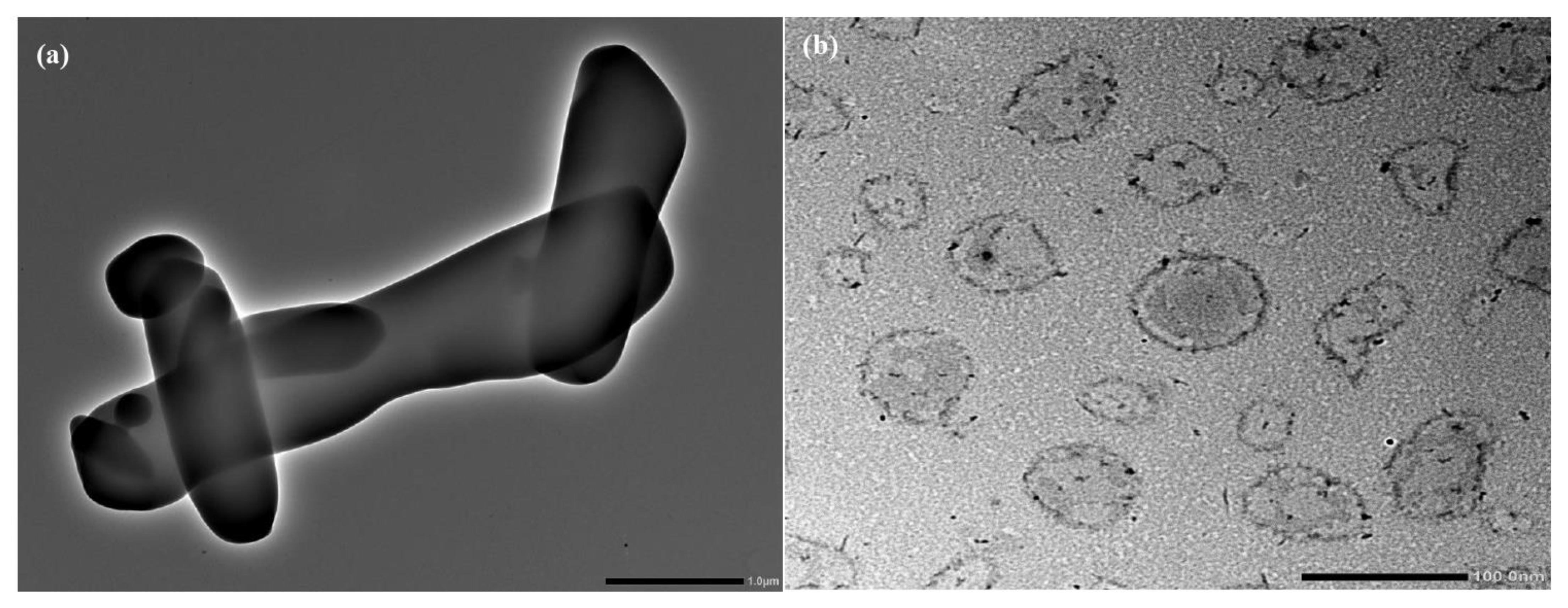 Pharmaceutics 15 00851 g004