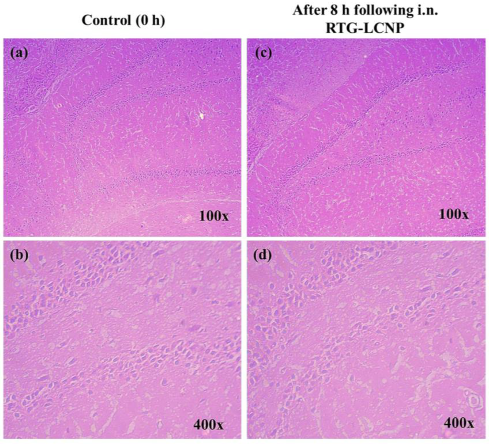 Pharmaceutics 15 00851 g009