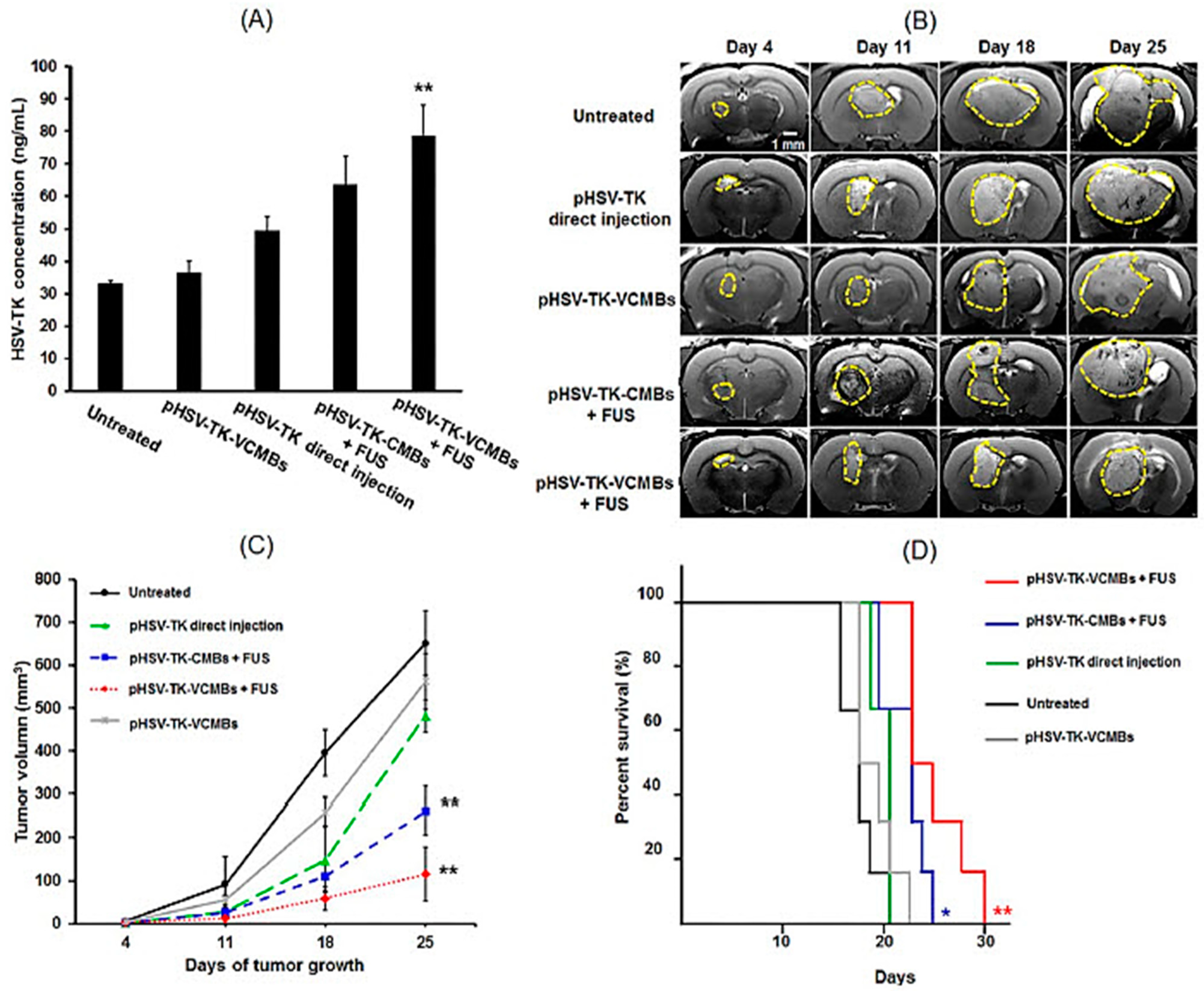 Pharmaceutics 15 00856 g001 Pharmaceutics 15 00856 g001