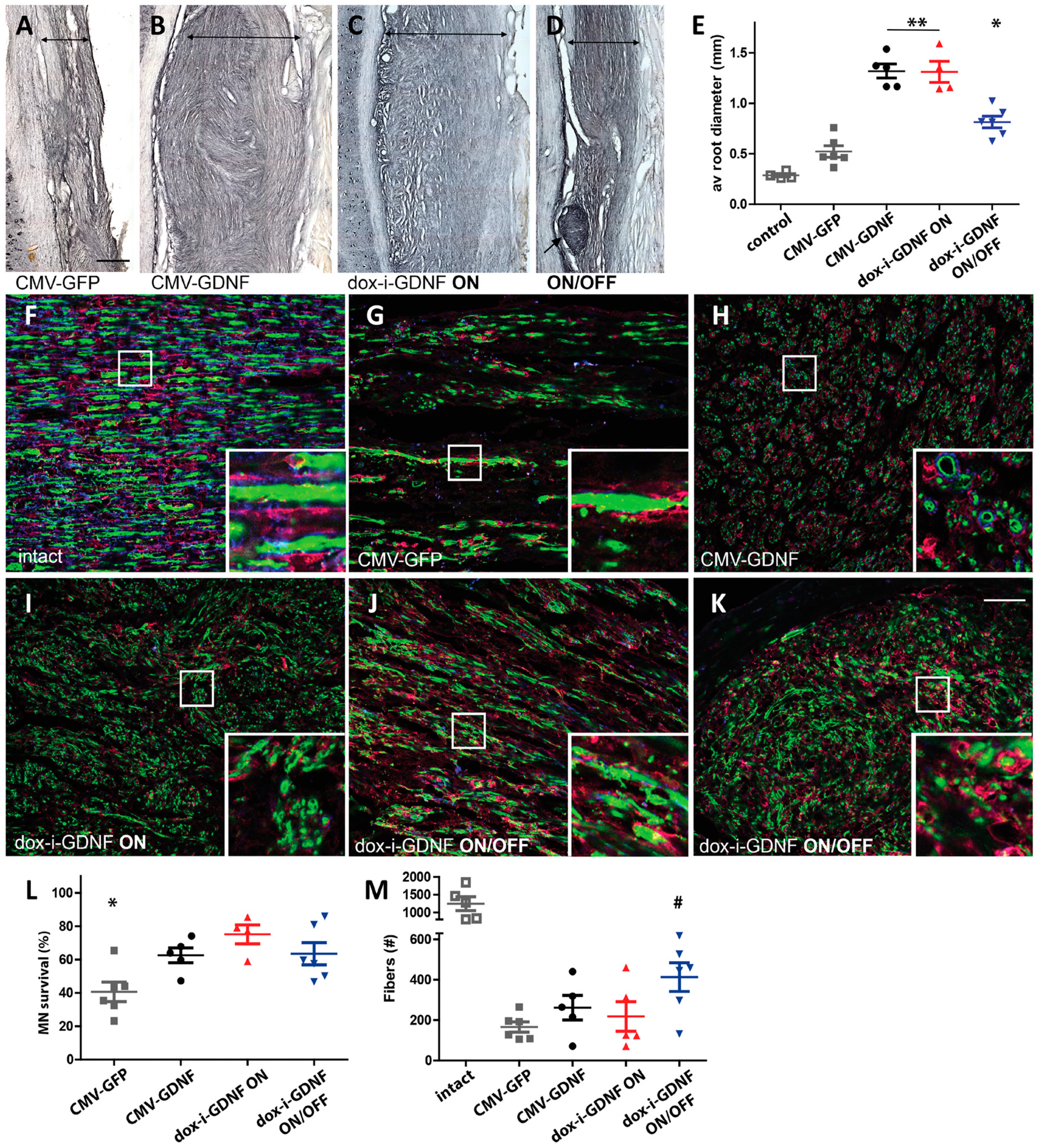 Pharmaceutics 15 00856 g002 Pharmaceutics 15 00856 g002