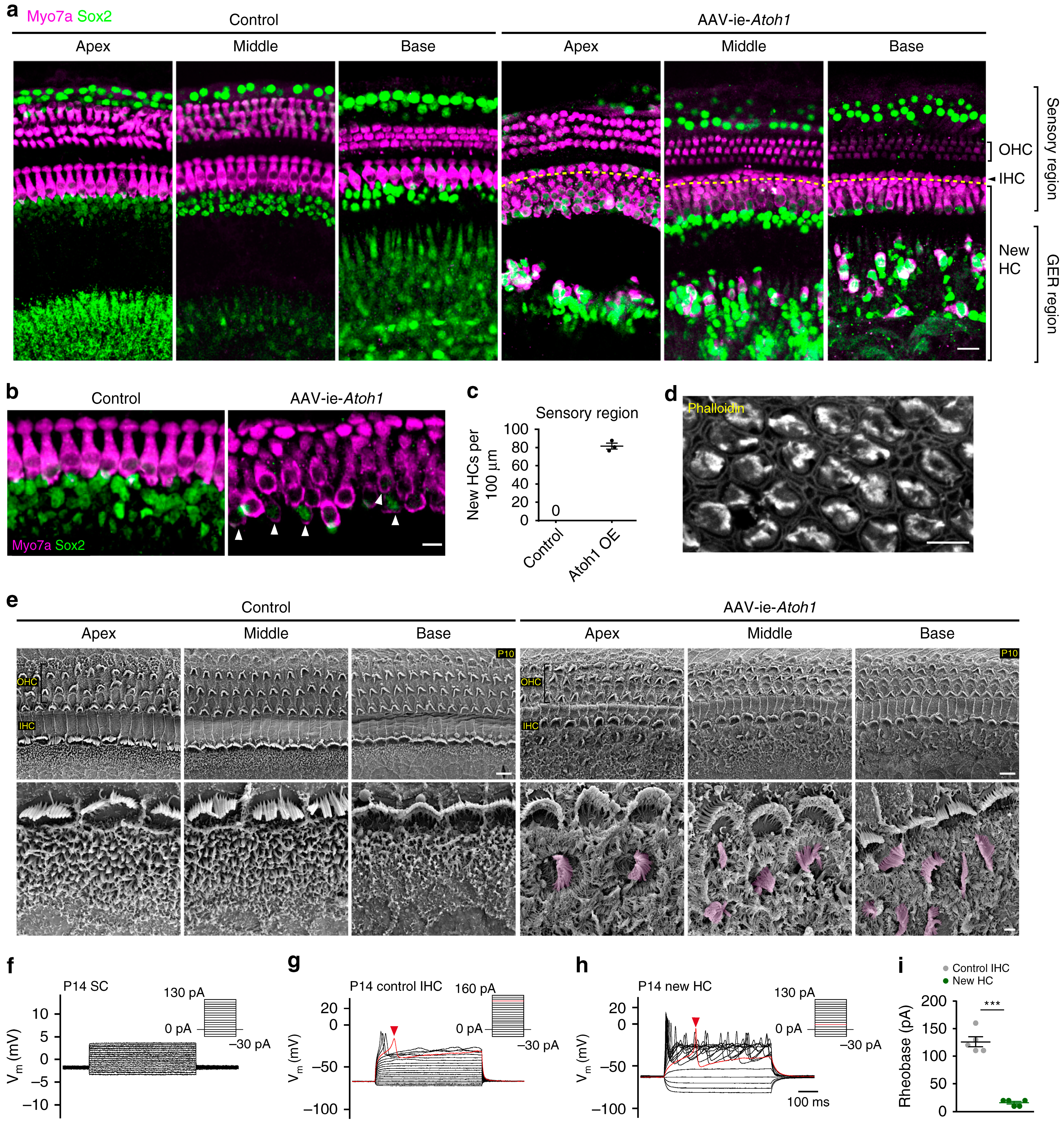 Pharmaceutics 15 00856 g003 Pharmaceutics 15 00856 g003