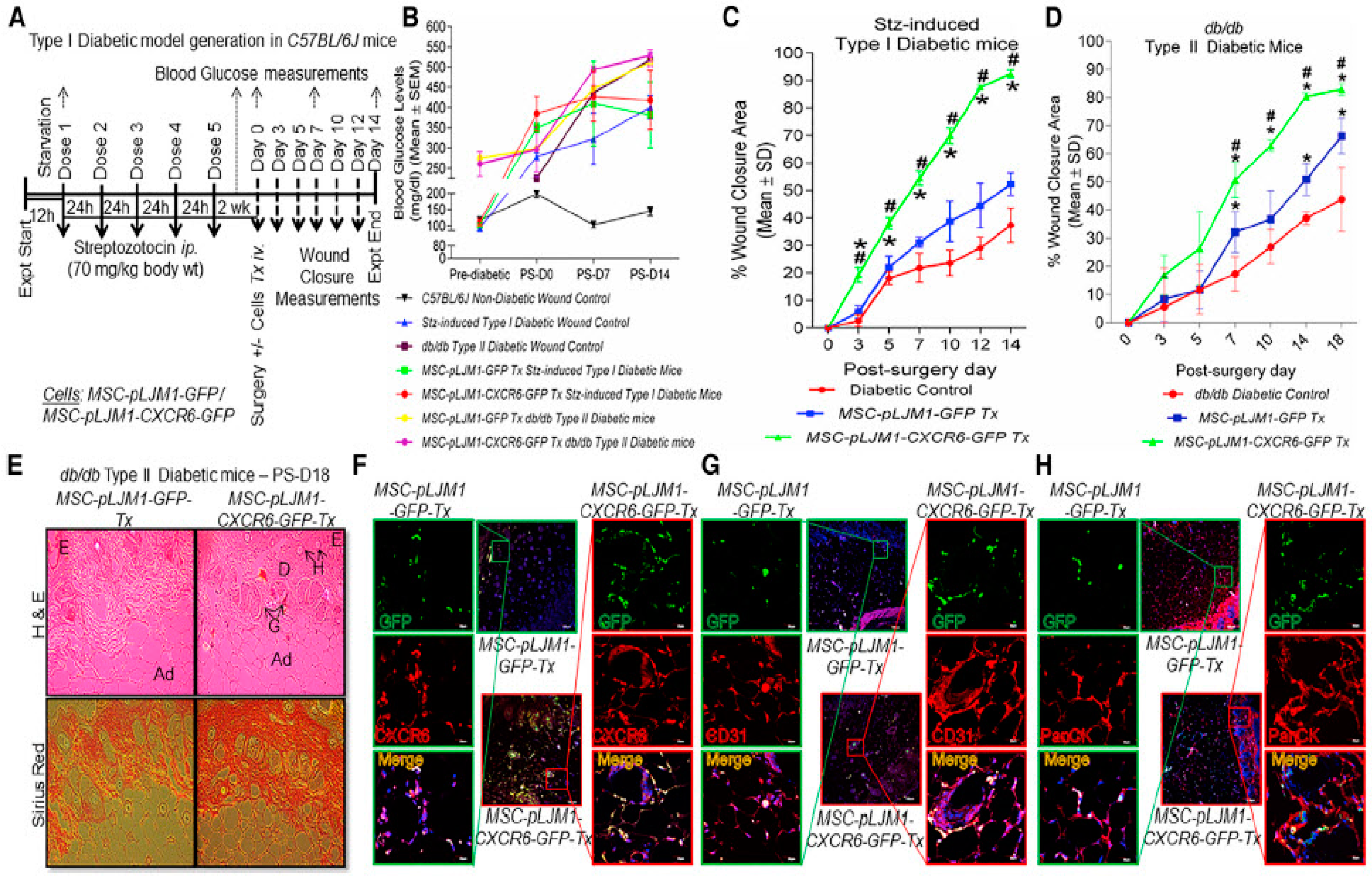 Pharmaceutics 15 00856 g004 Pharmaceutics 15 00856 g004