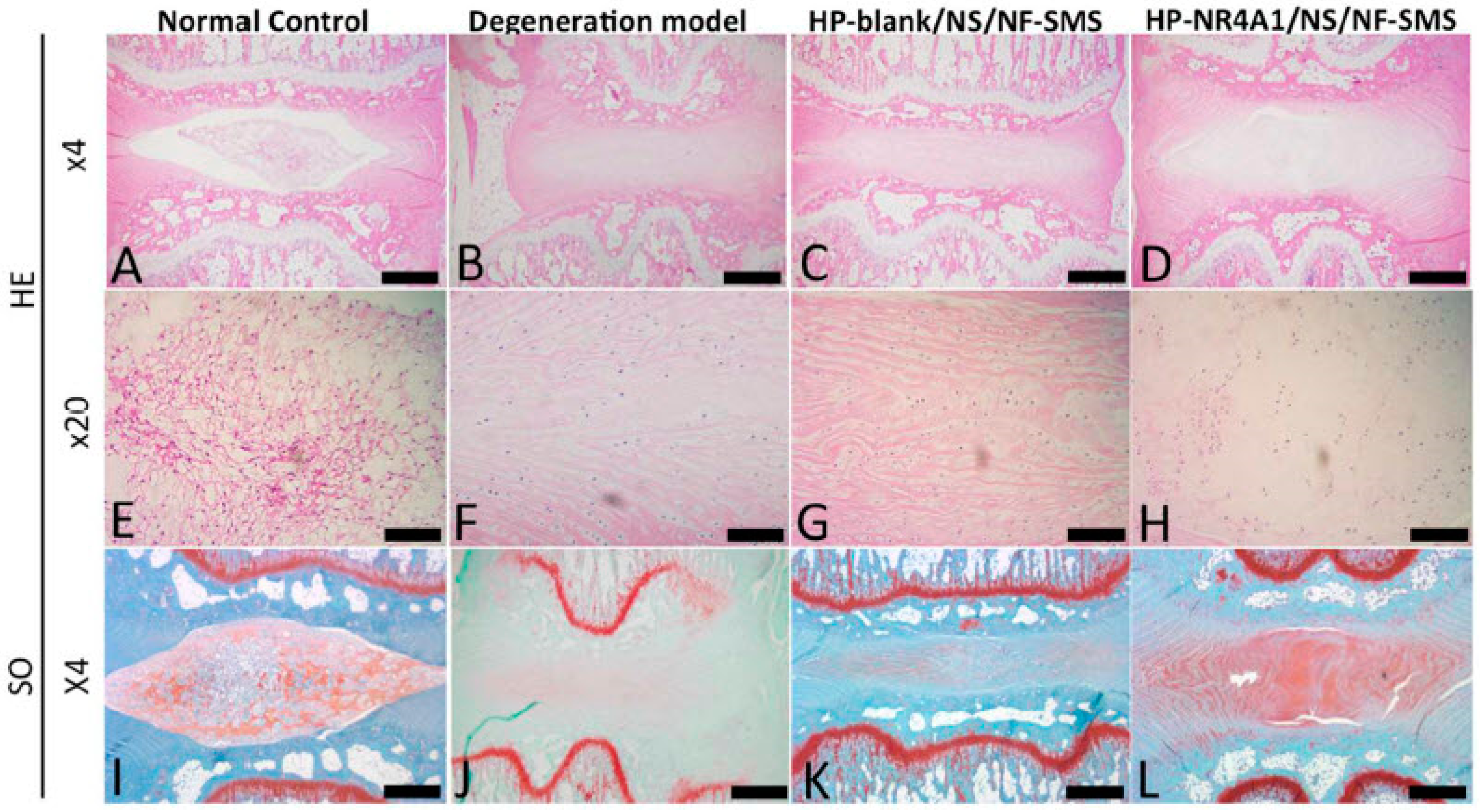 Pharmaceutics 15 00856 g005 Pharmaceutics 15 00856 g005