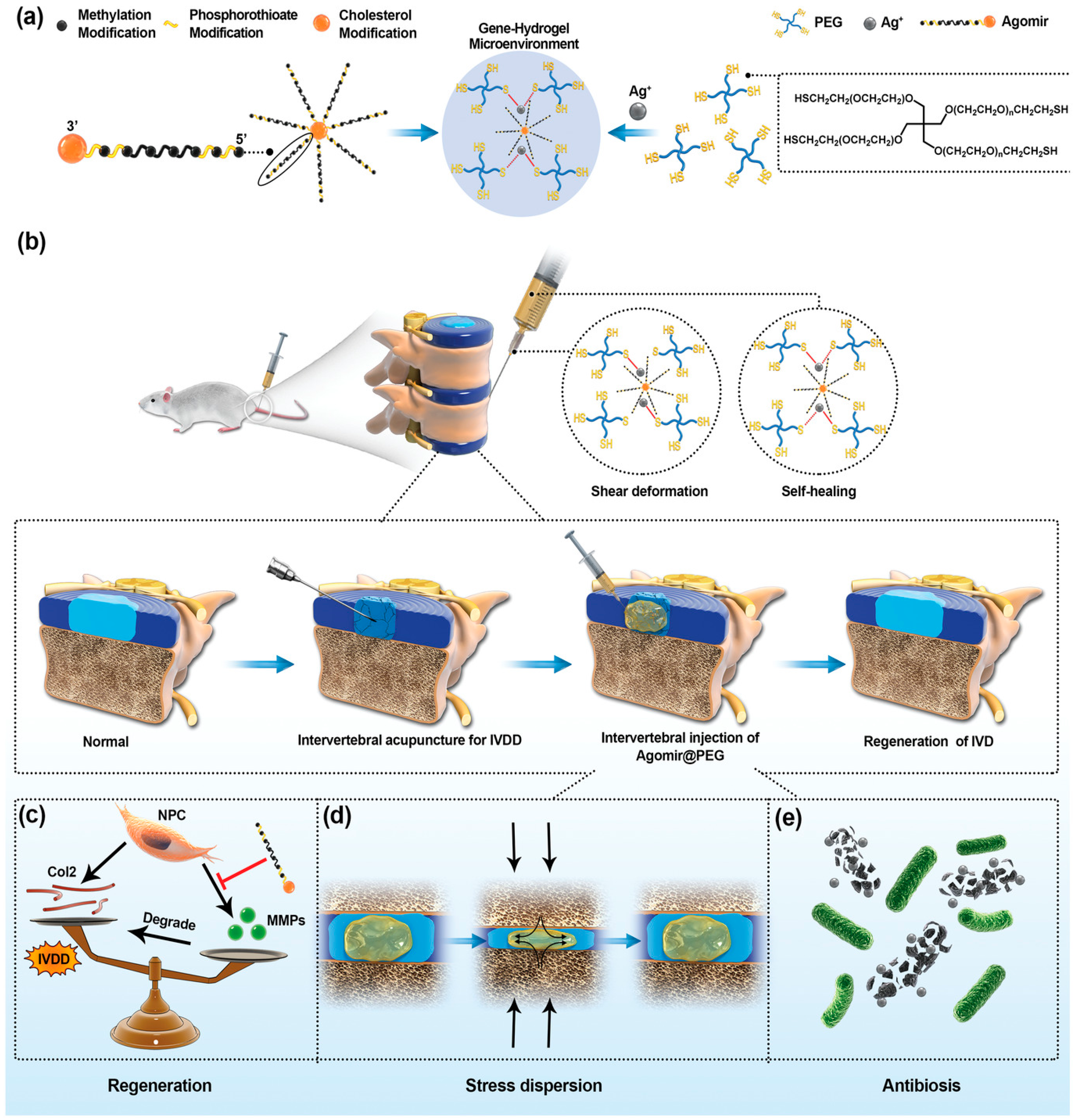 Pharmaceutics 15 00856 g006 Pharmaceutics 15 00856 g006