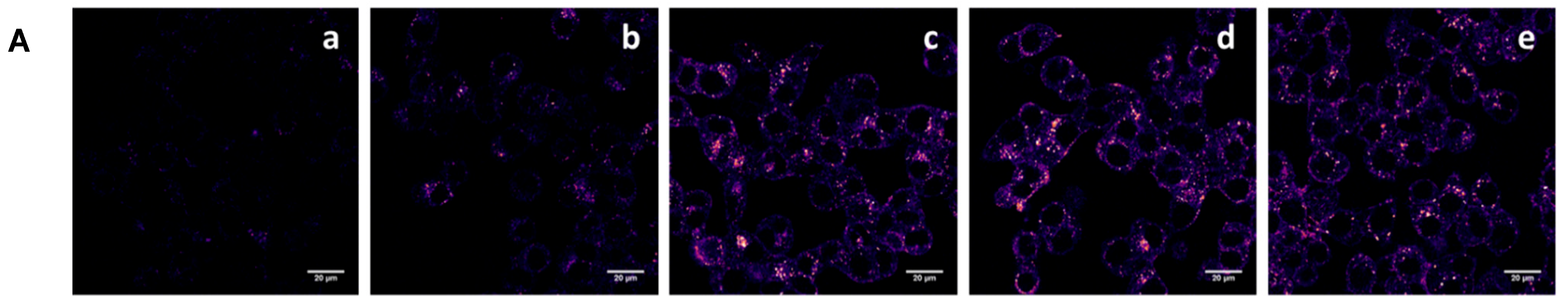 Pharmaceutics 15 00864 g004a