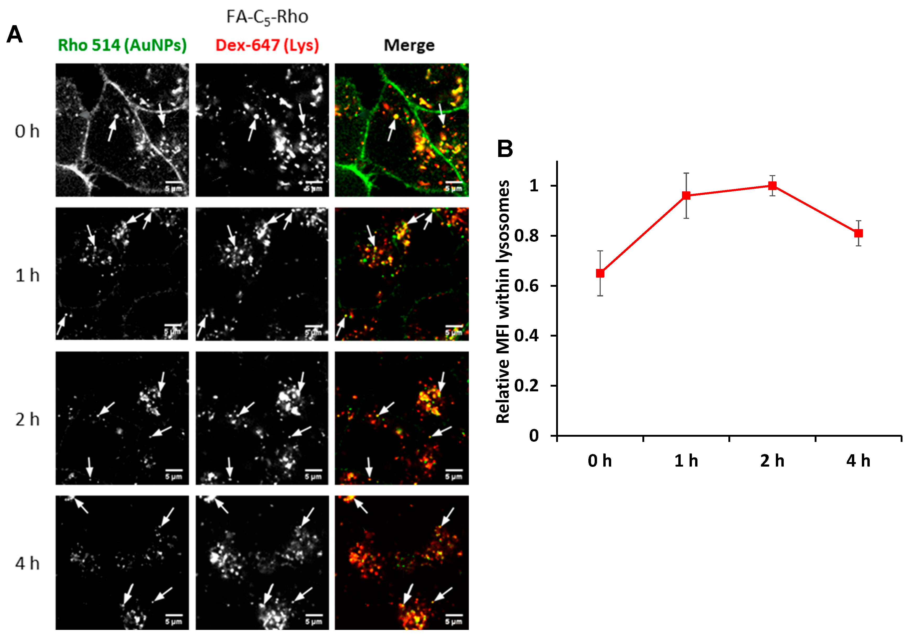 Pharmaceutics 15 00864 g006